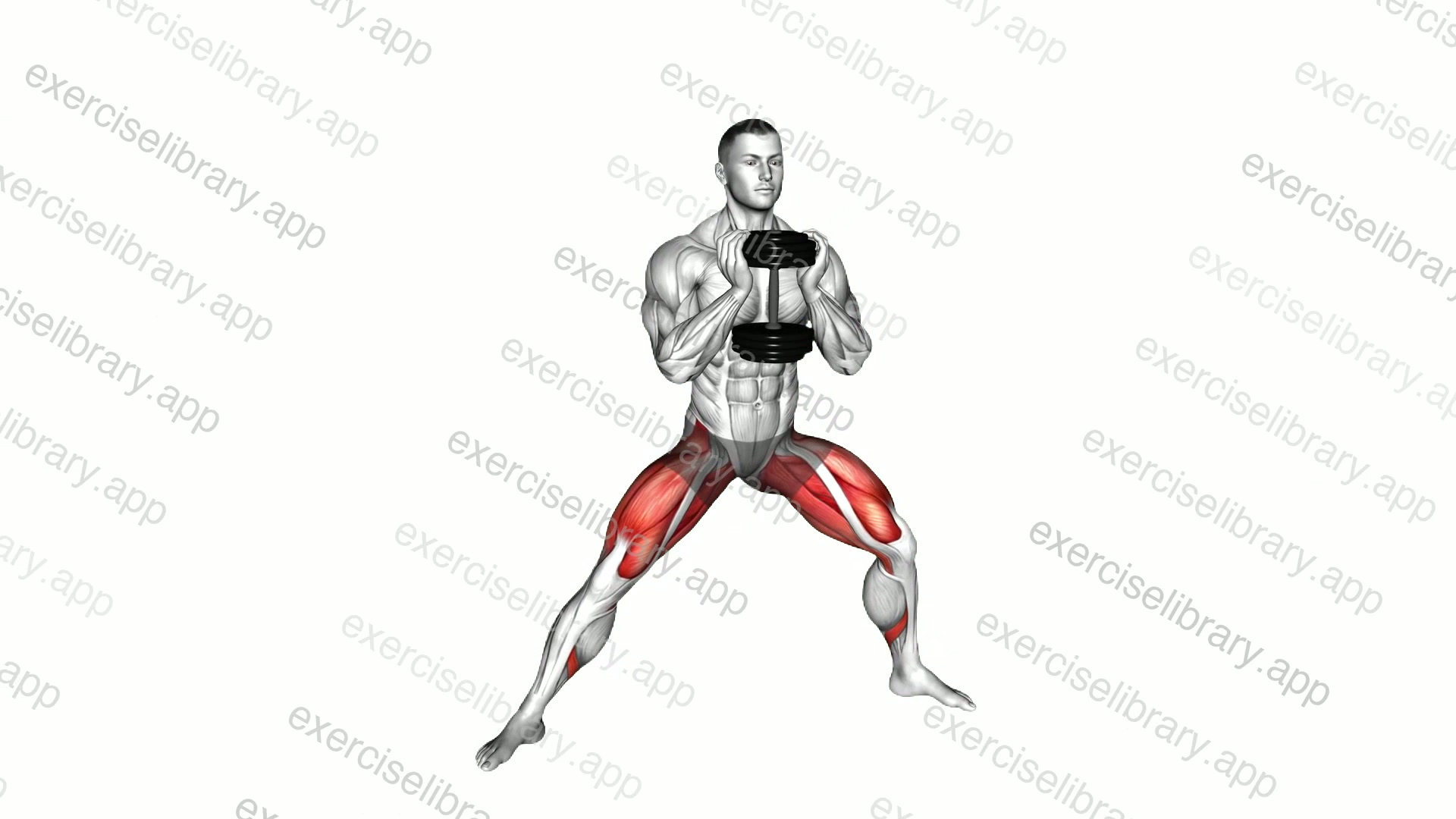 Dumbbell Side Squat demonstration