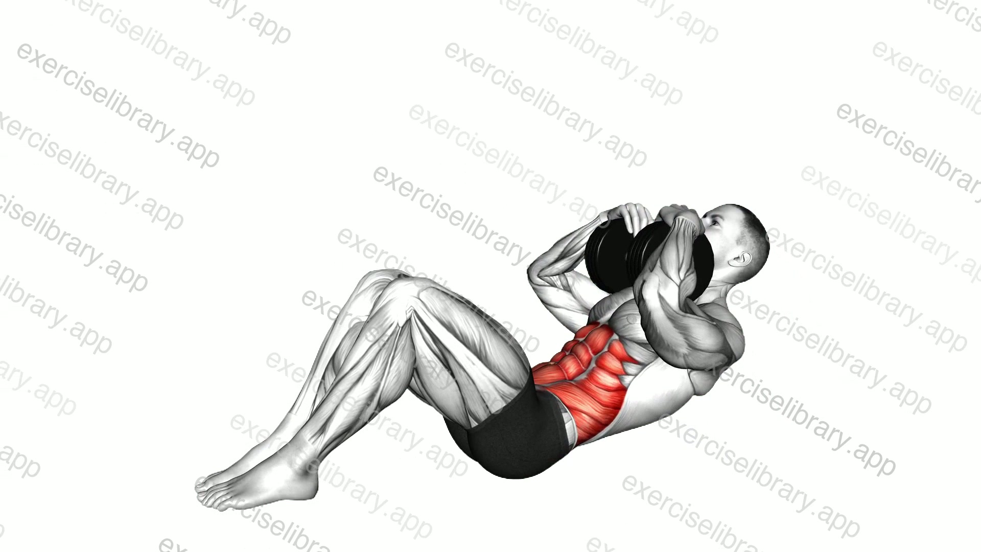 Dumbbell Sit-up demonstration