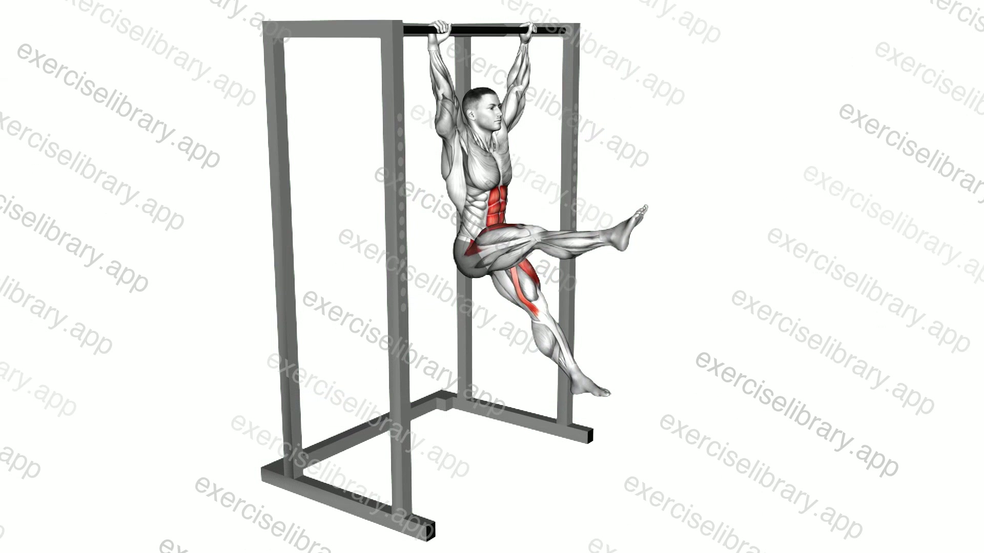 Hanging Flutter Kick demonstration