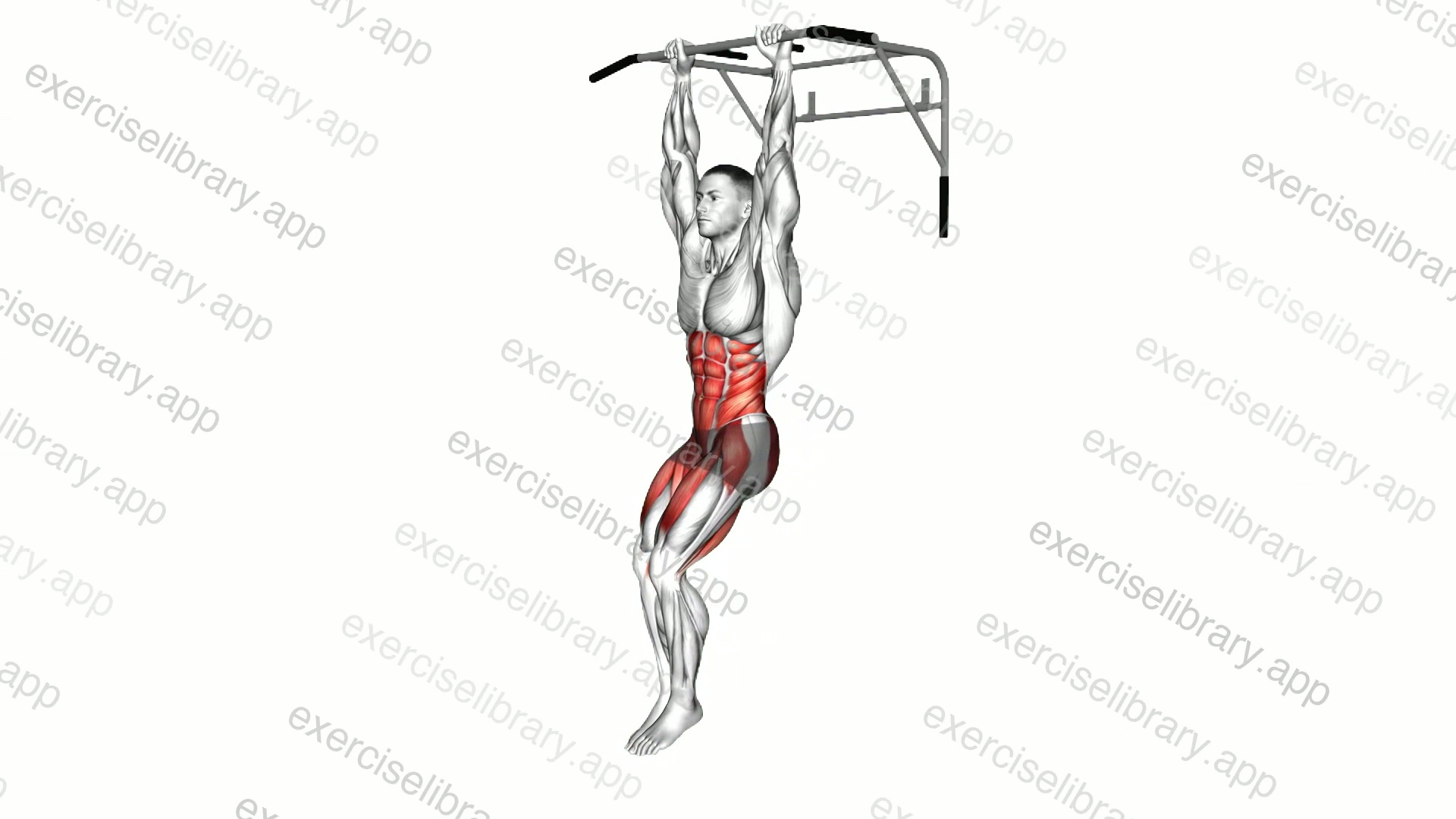 Hanging Knee Circle Raise demonstration