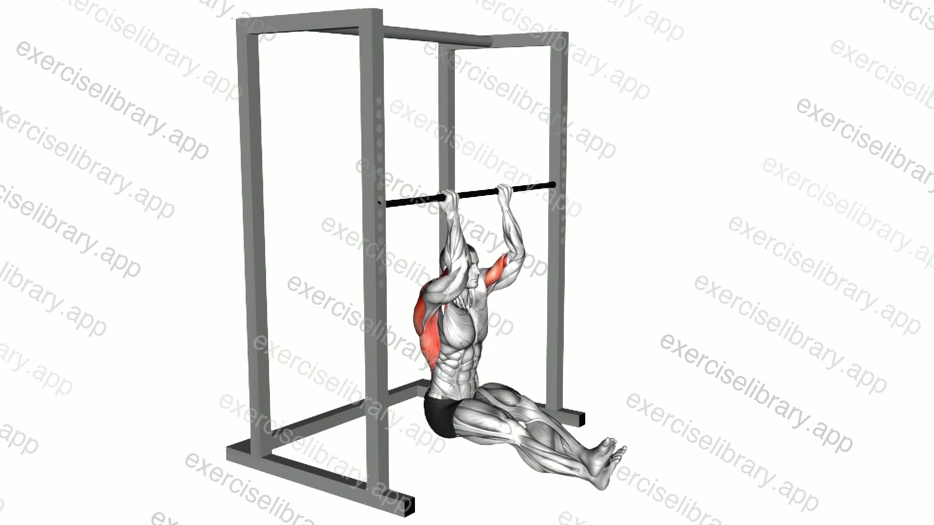 Seated Chin-up demonstration