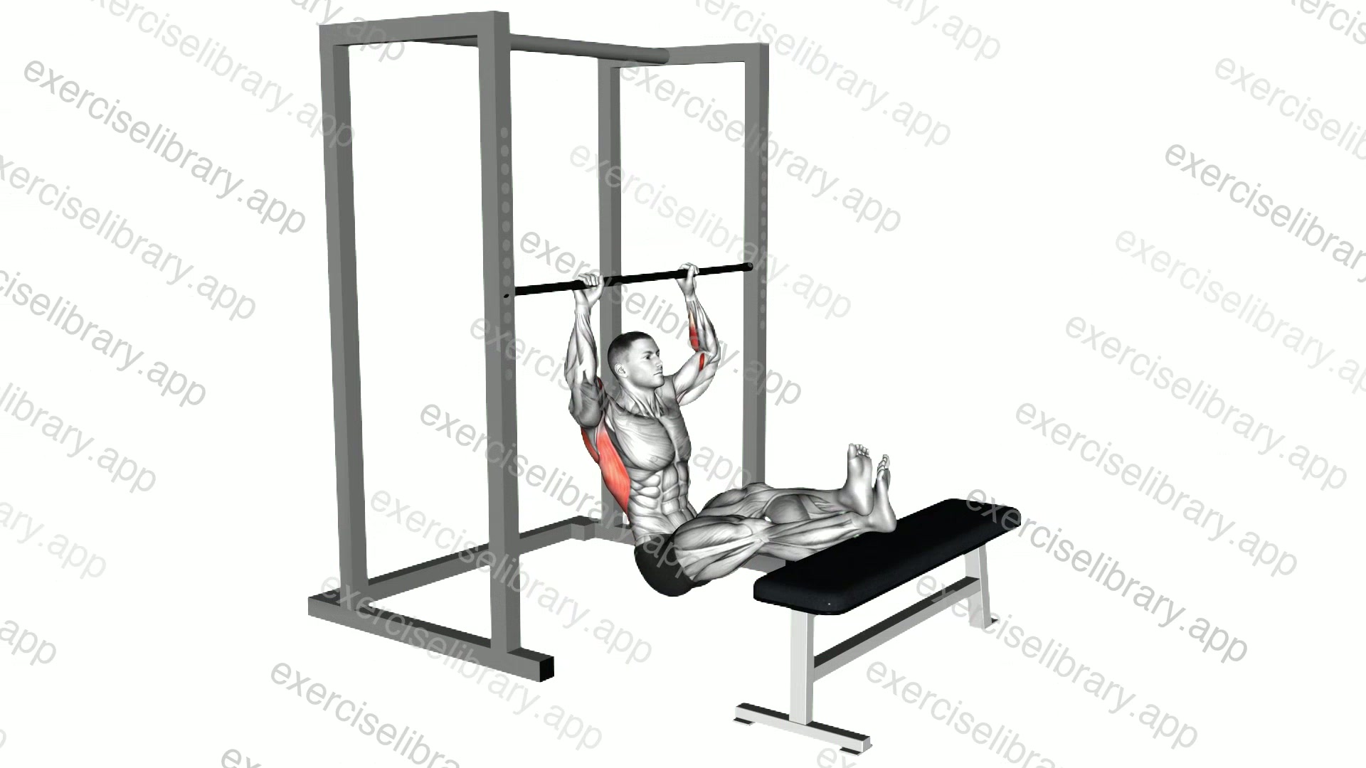 Seated Pull-up demonstration