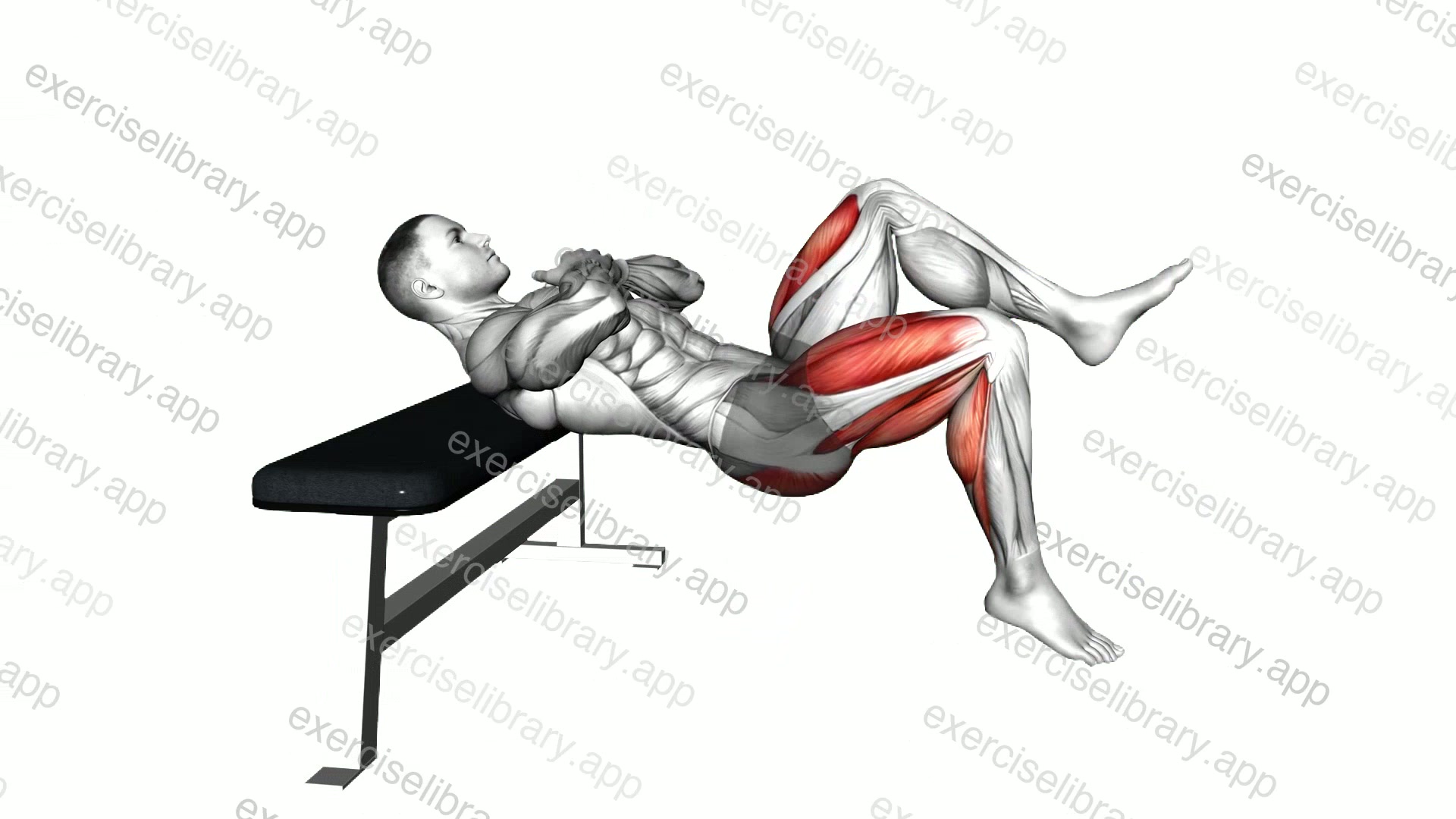 Single Leg Hip Thrust Jump demonstration
