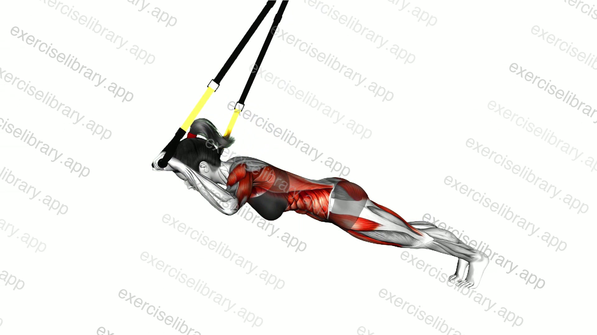 Suspender Alternate Superman demonstration