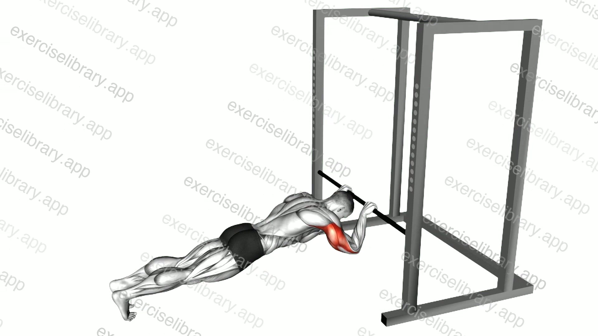 Triceps Press demonstration