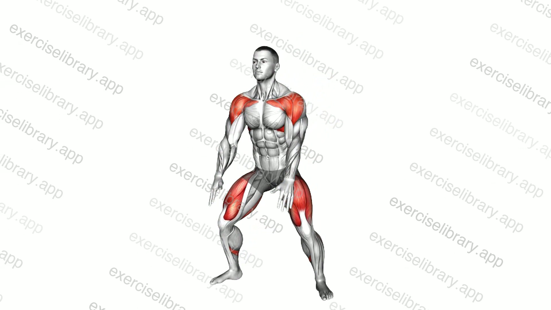Wide Air Squat demonstration