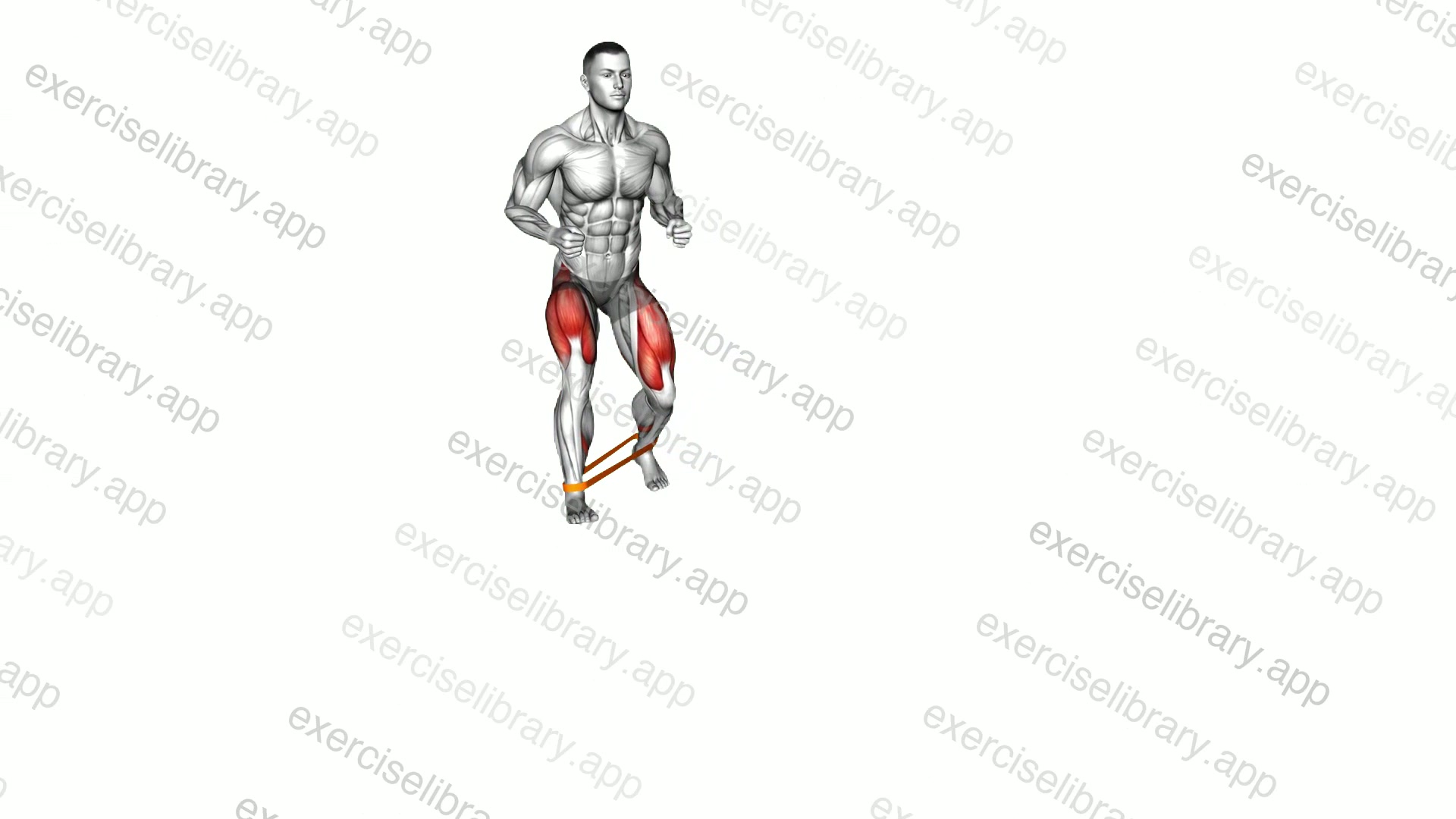 Resistance Band Monster Walk demonstration