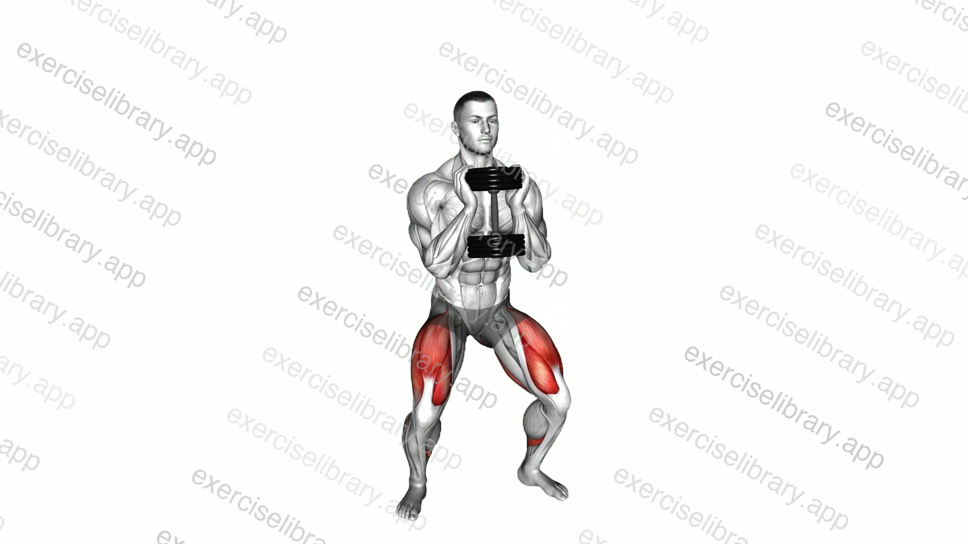 Dumbbell Goblet 2 sec Hold Squat demonstration