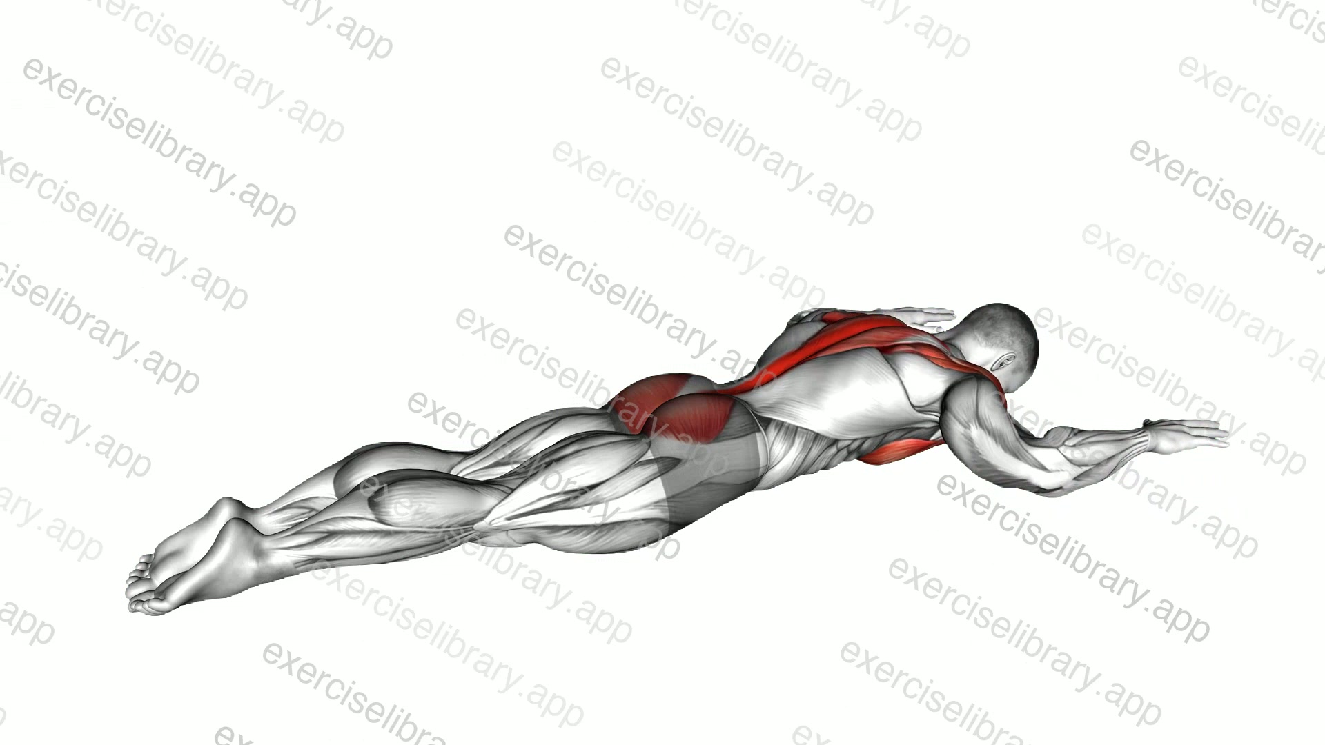 Superman Chest Stretch demonstration
