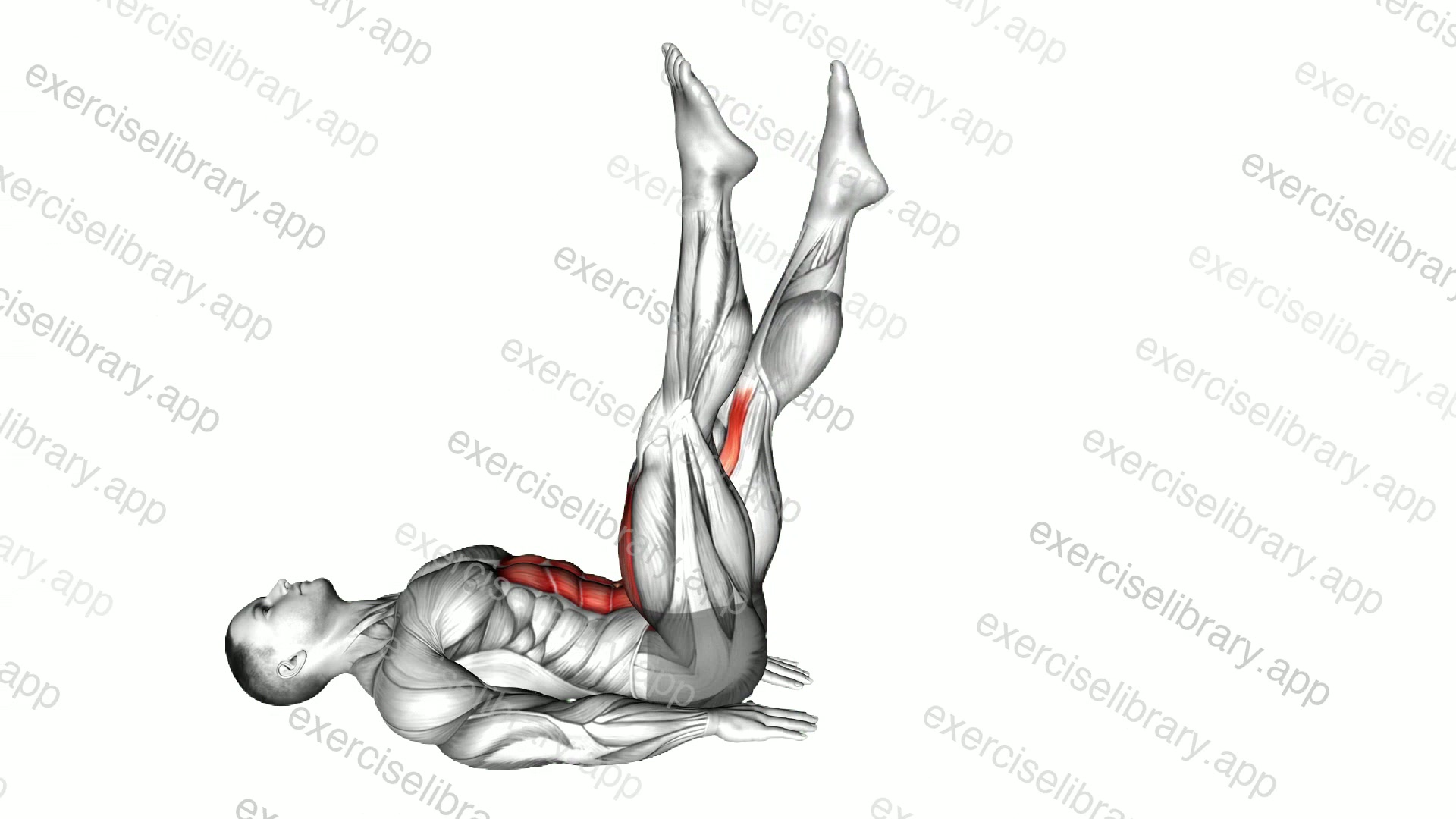 Alternate Leg Raise demonstration