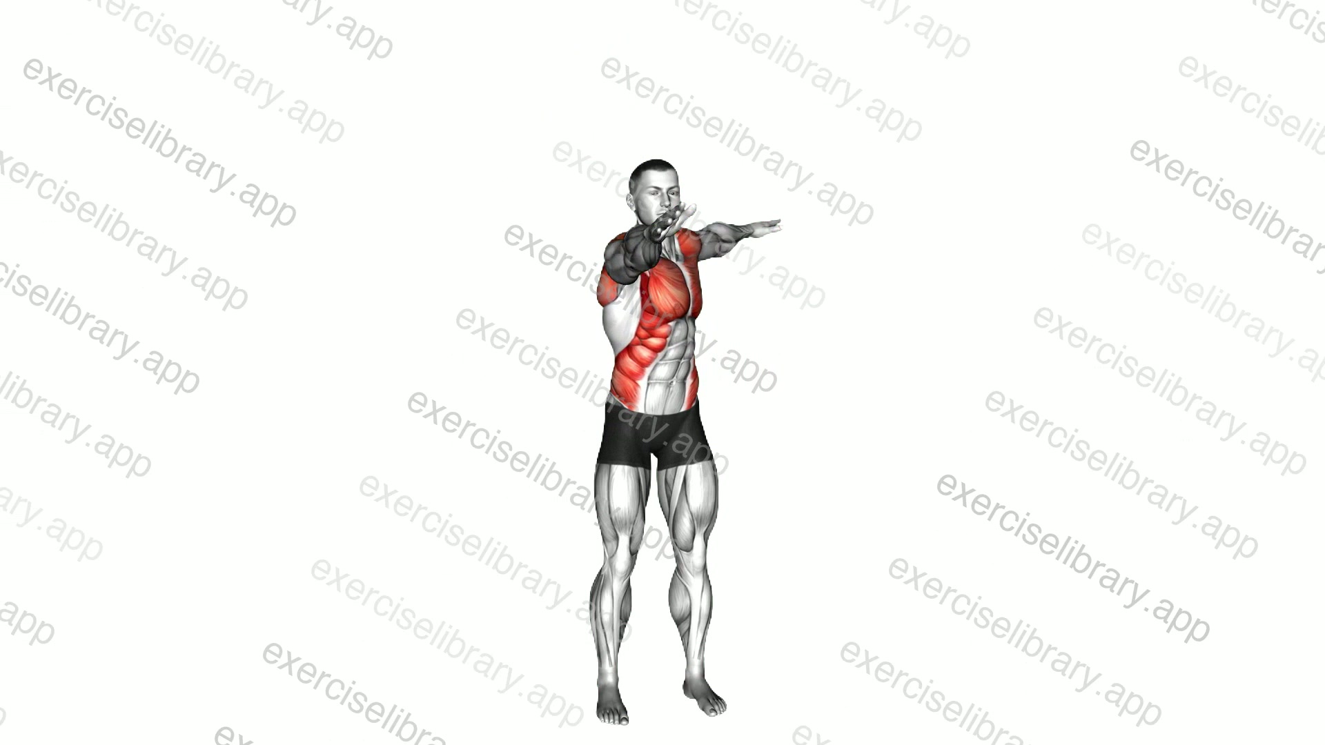 Standing Swimmer demonstration