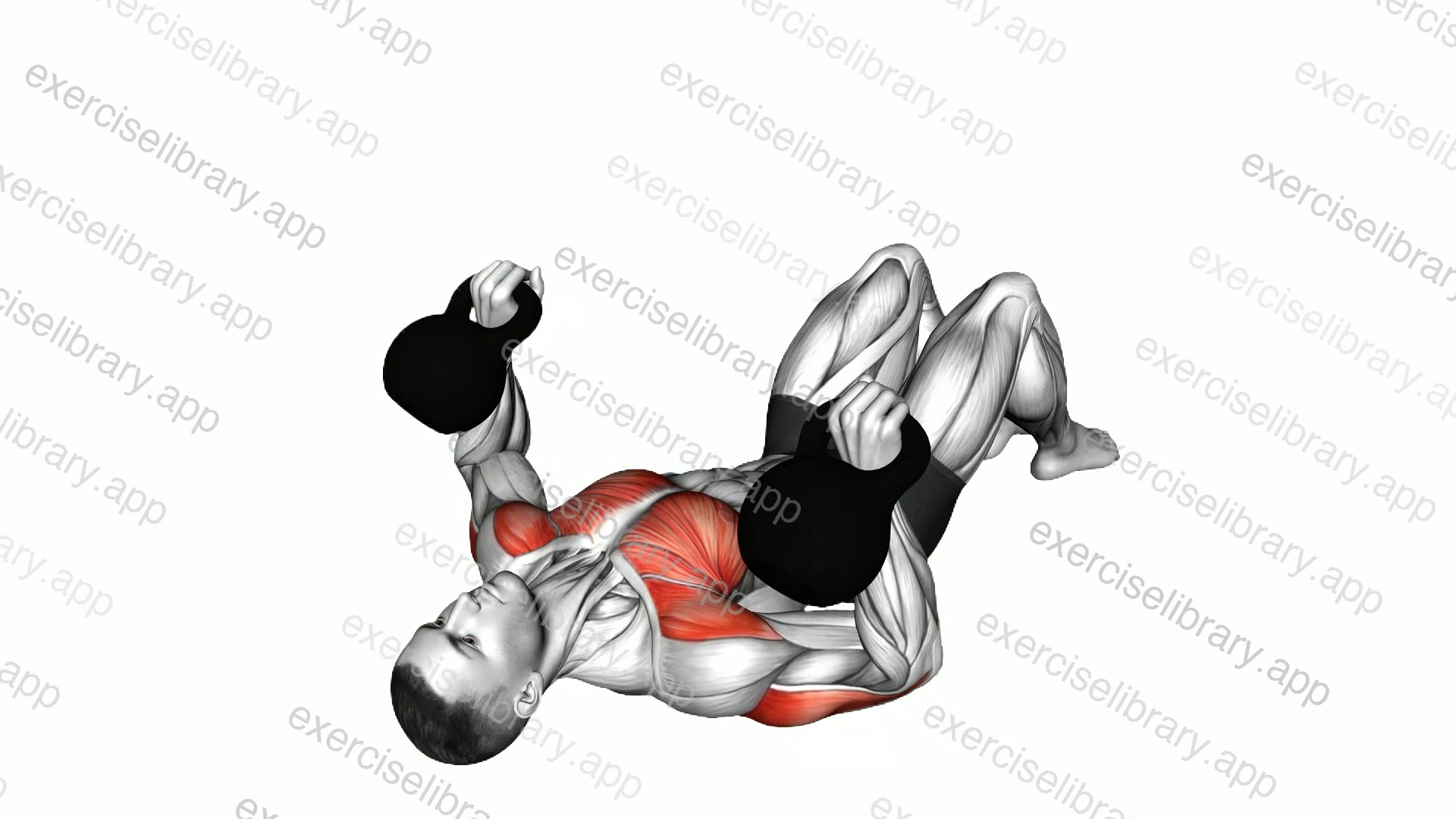 Kettlebell Lying on Floor Chest Press demonstration