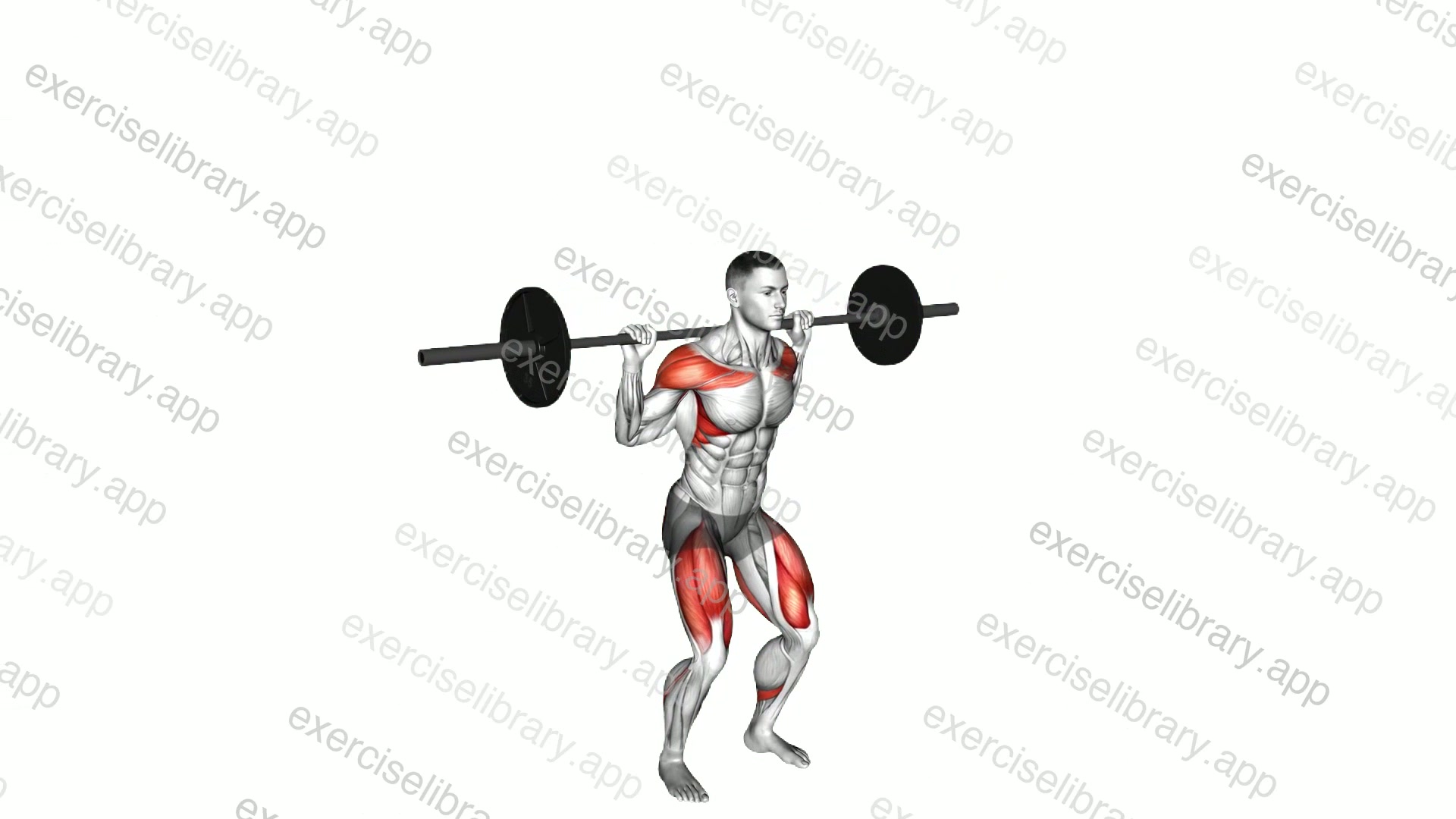 Barbell Behind the Back Push Press demonstration