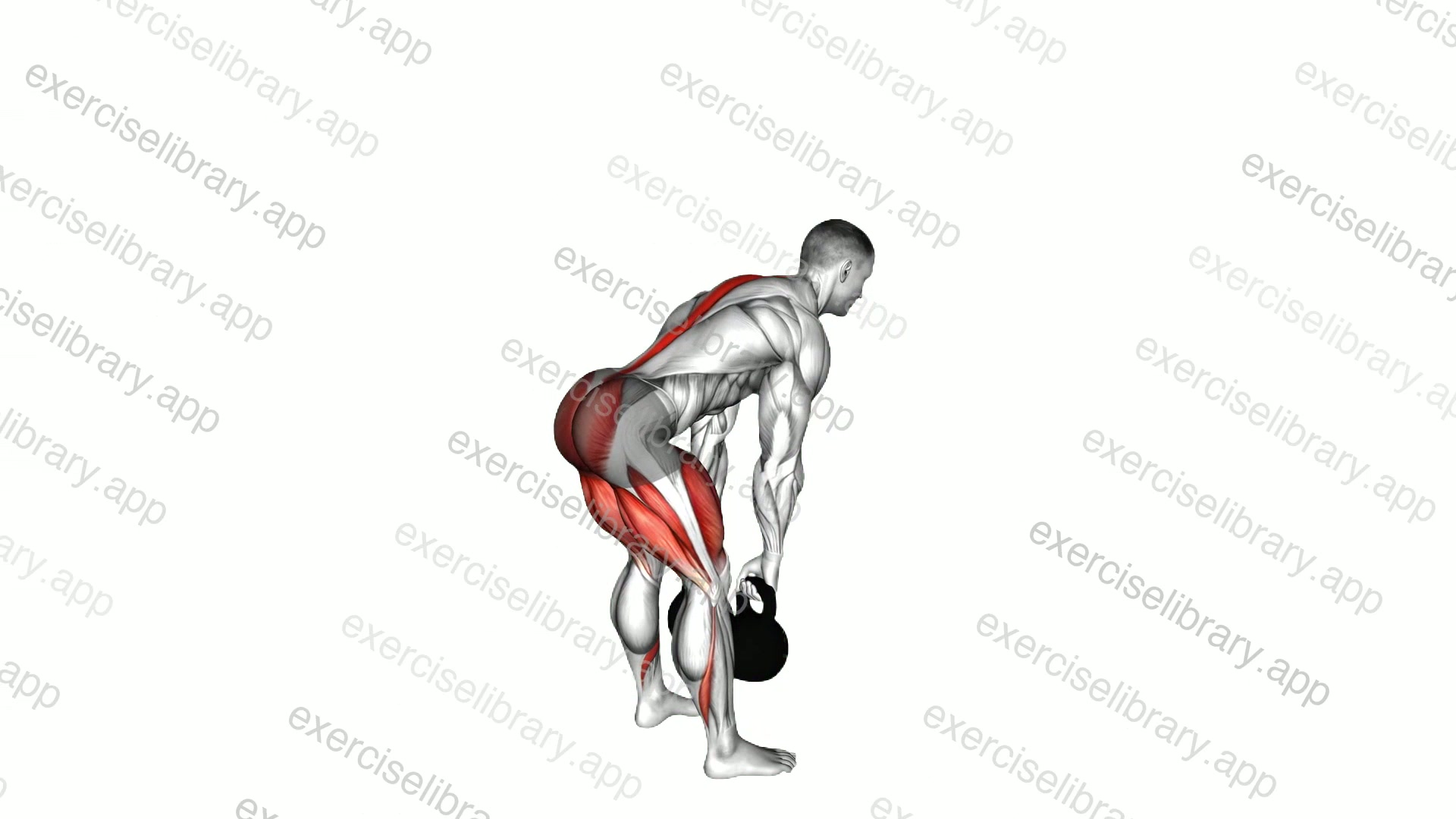 Kettlebell Romanian Deadlift demonstration