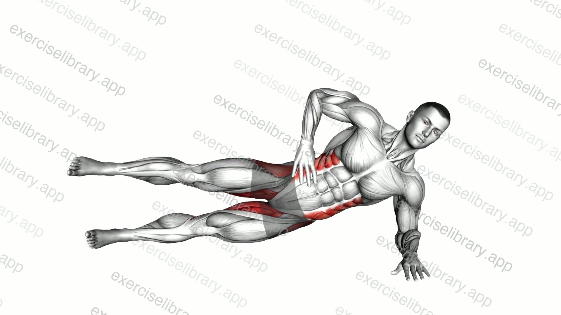 Side Plank Leg Lift demonstration