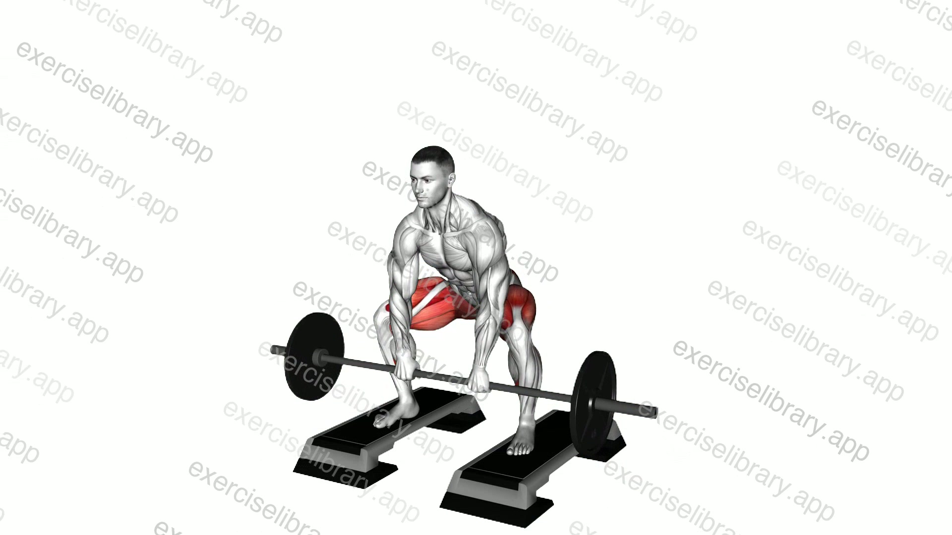 Barbell Sumo Deadlift from Deficit demonstration