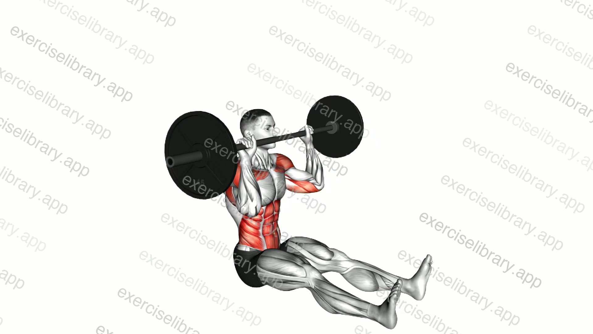 Barbell Z Press demonstration