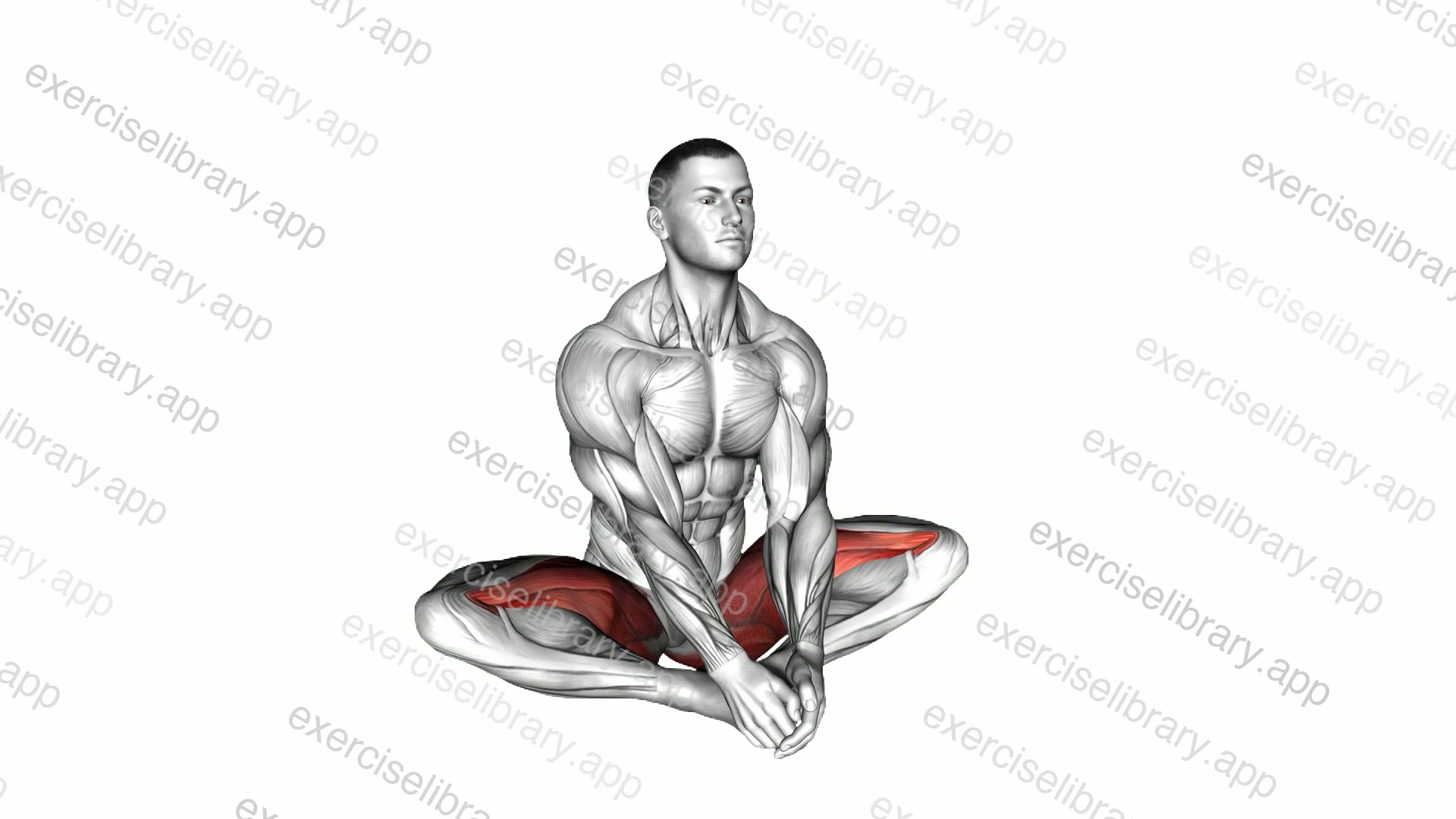 Butterfly Yoga Flaps demonstration