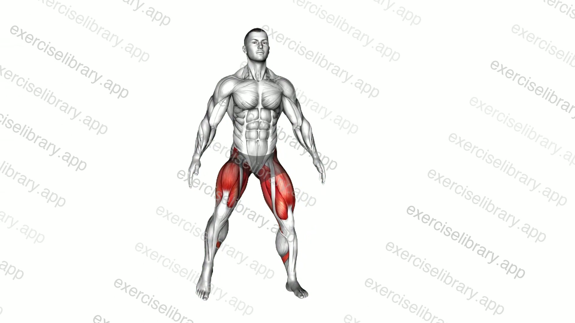 Side Squat Walk demonstration