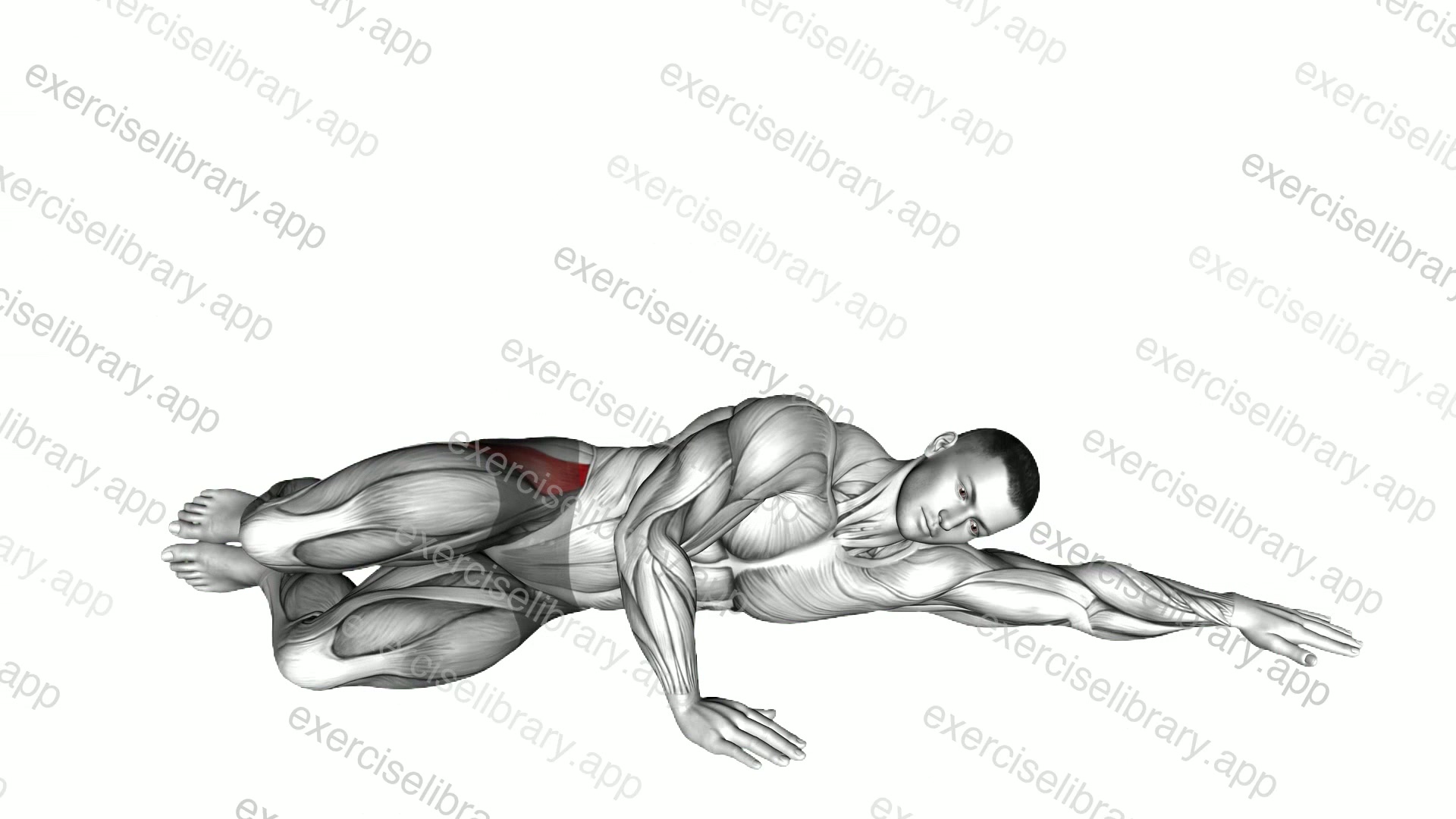Hip Clam Shell demonstration