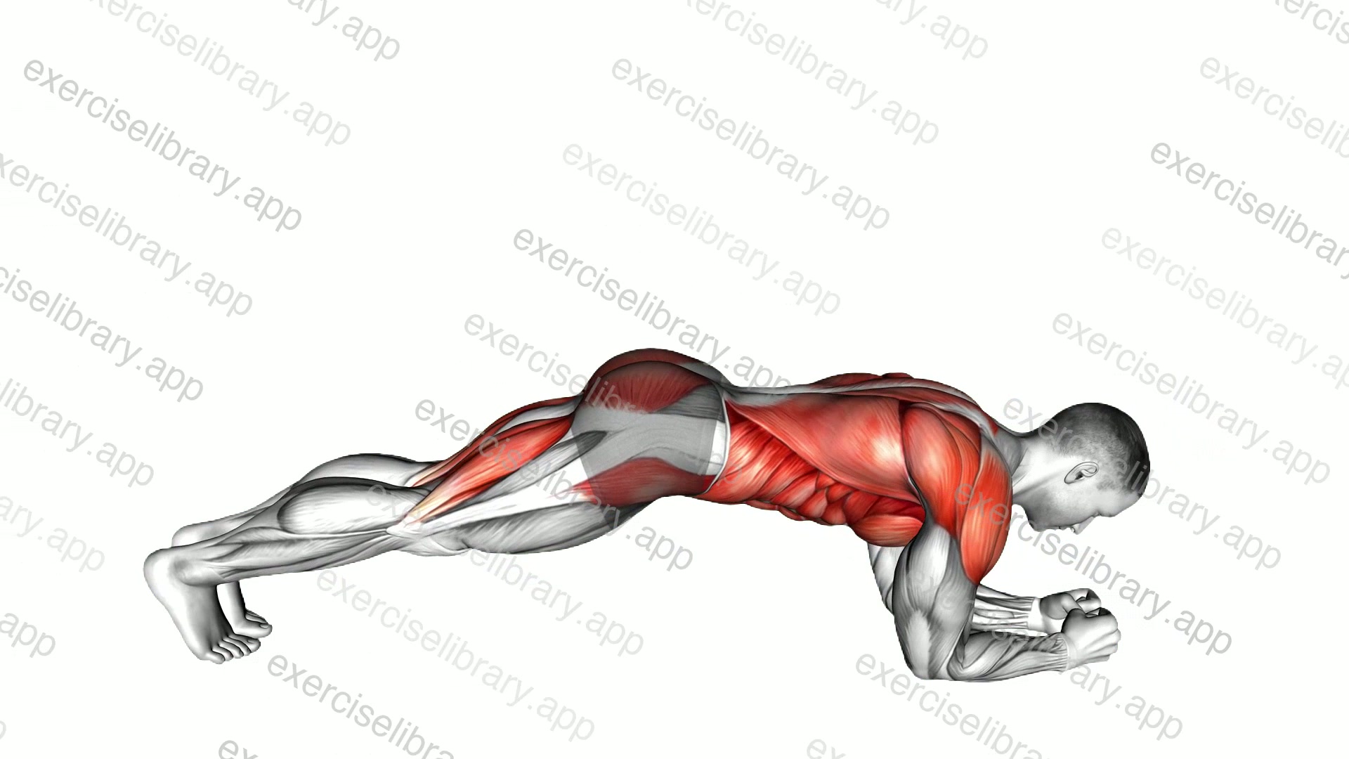 Plank to Pike demonstration