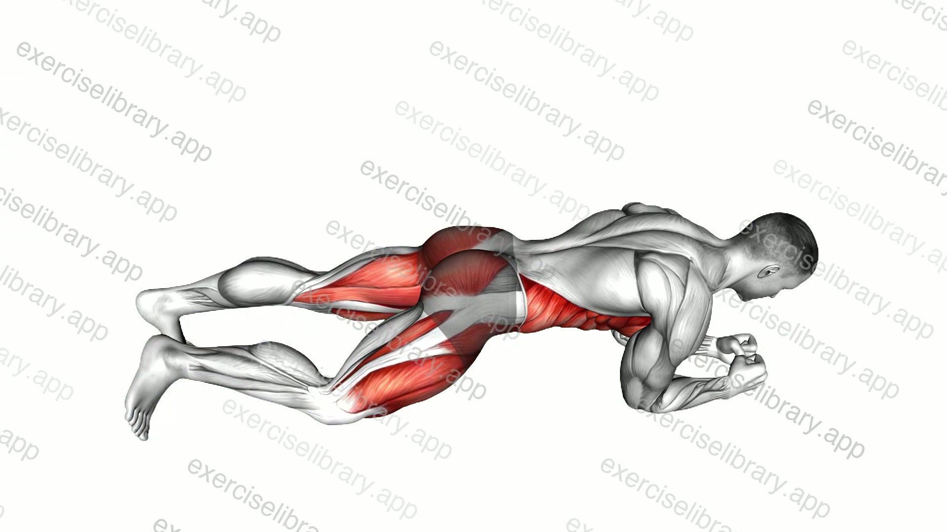 Spiderman Plank demonstration