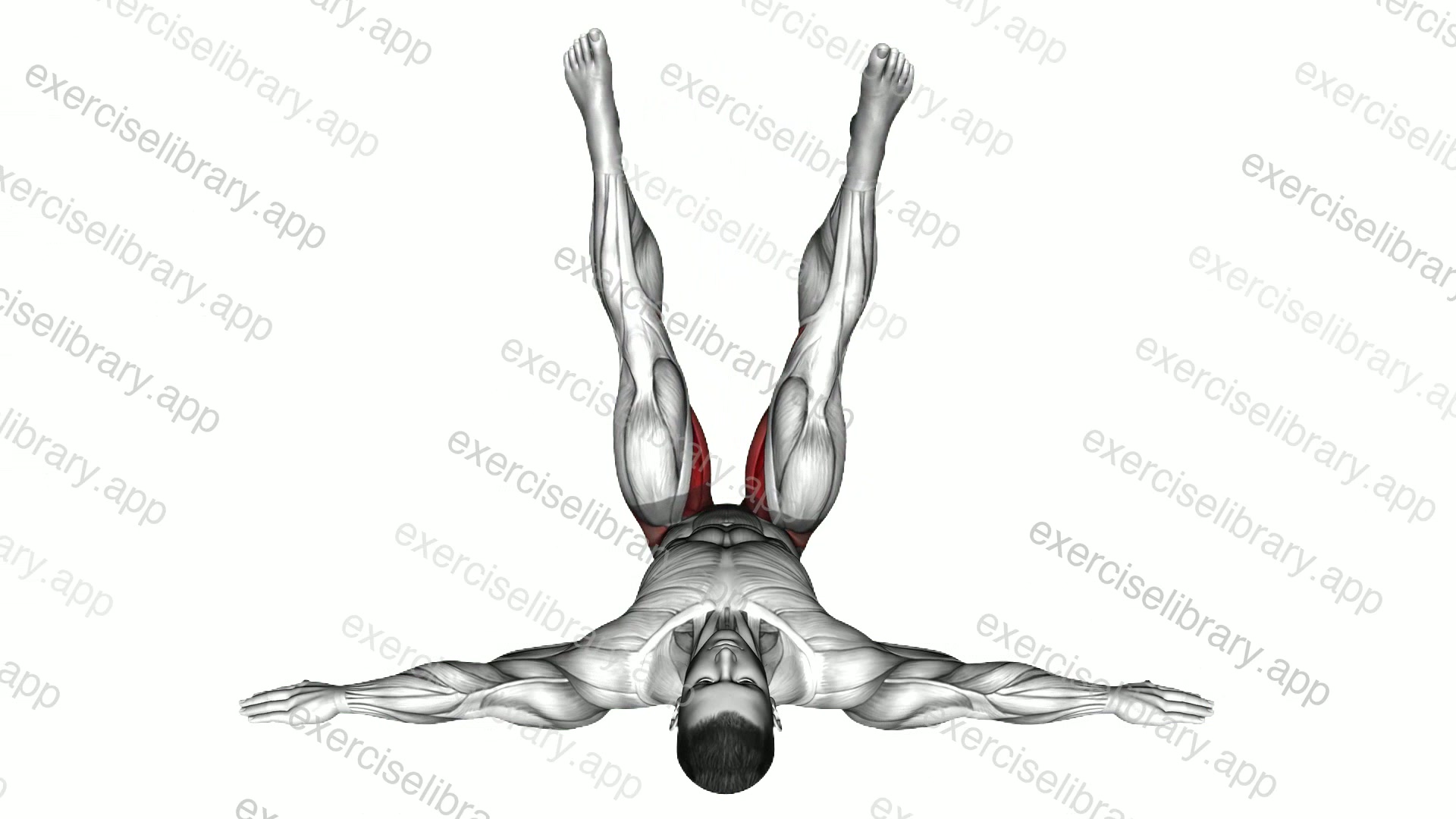 Lying Criss Cross Legs demonstration