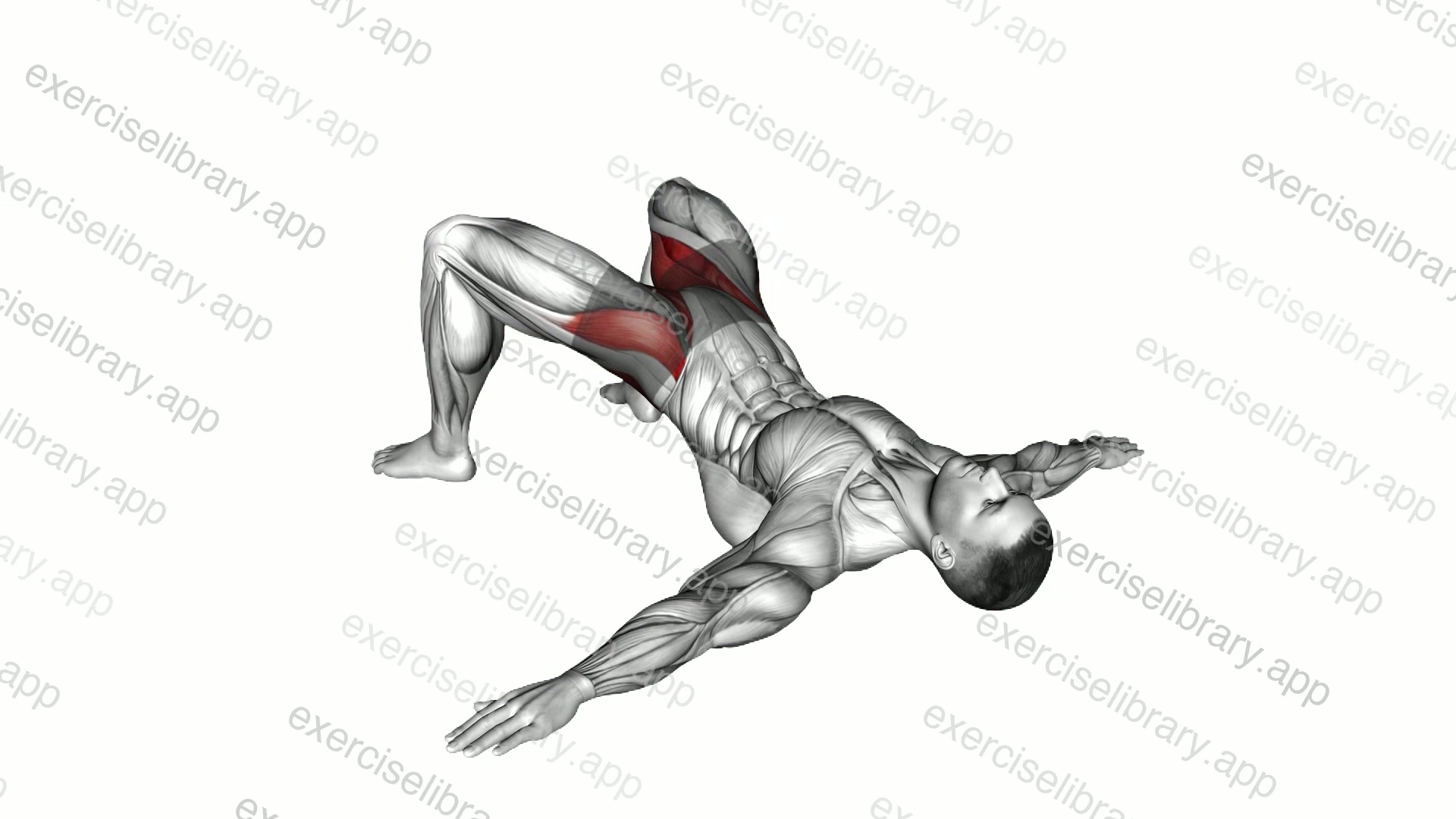 Bridge Hip Abduction demonstration