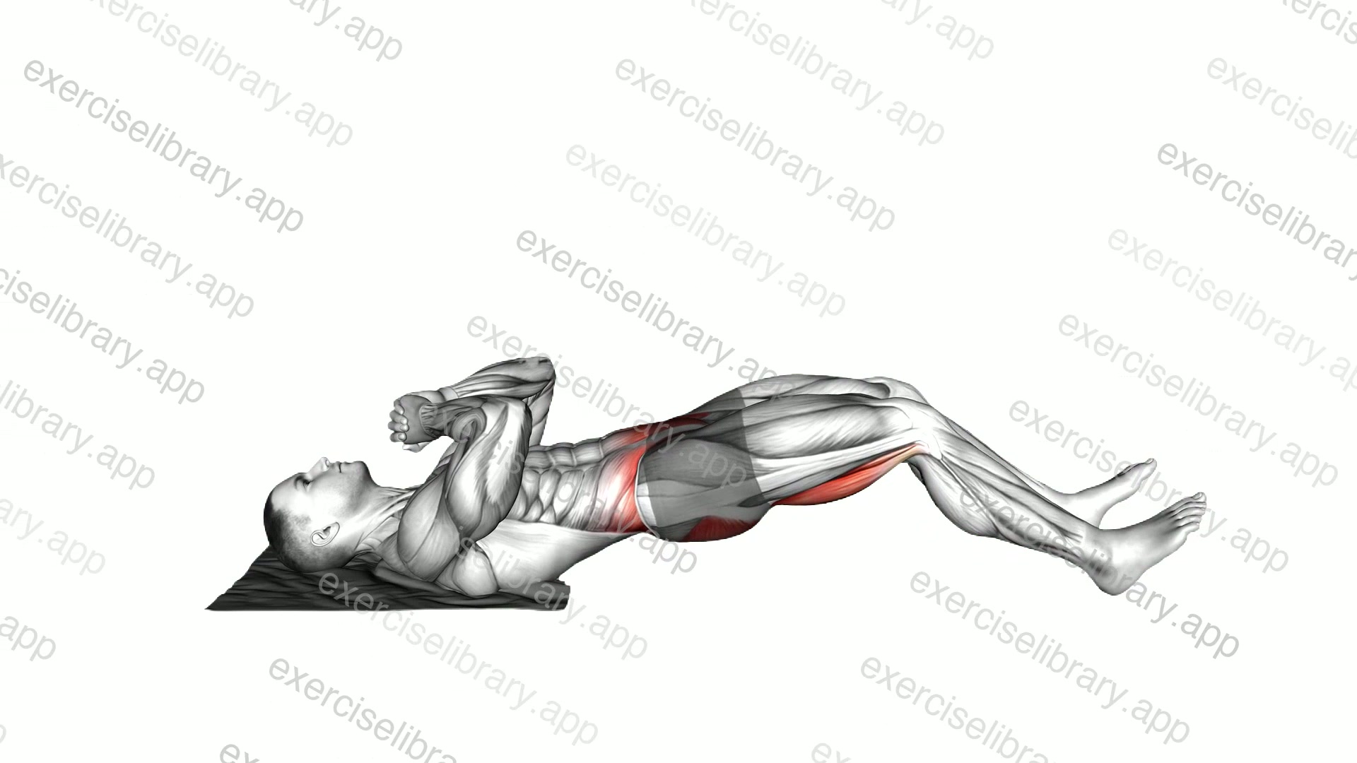 Reverse Sliding Leg Curl on Floor with Towel demonstration
