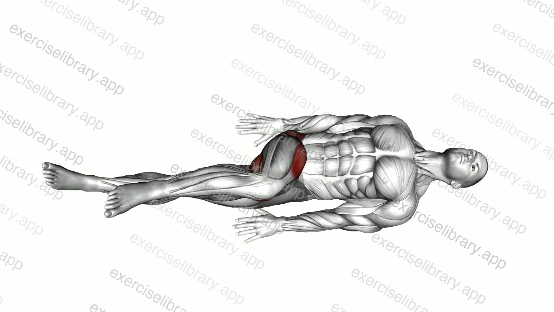 Lying Bent Knee Figure 8 demonstration