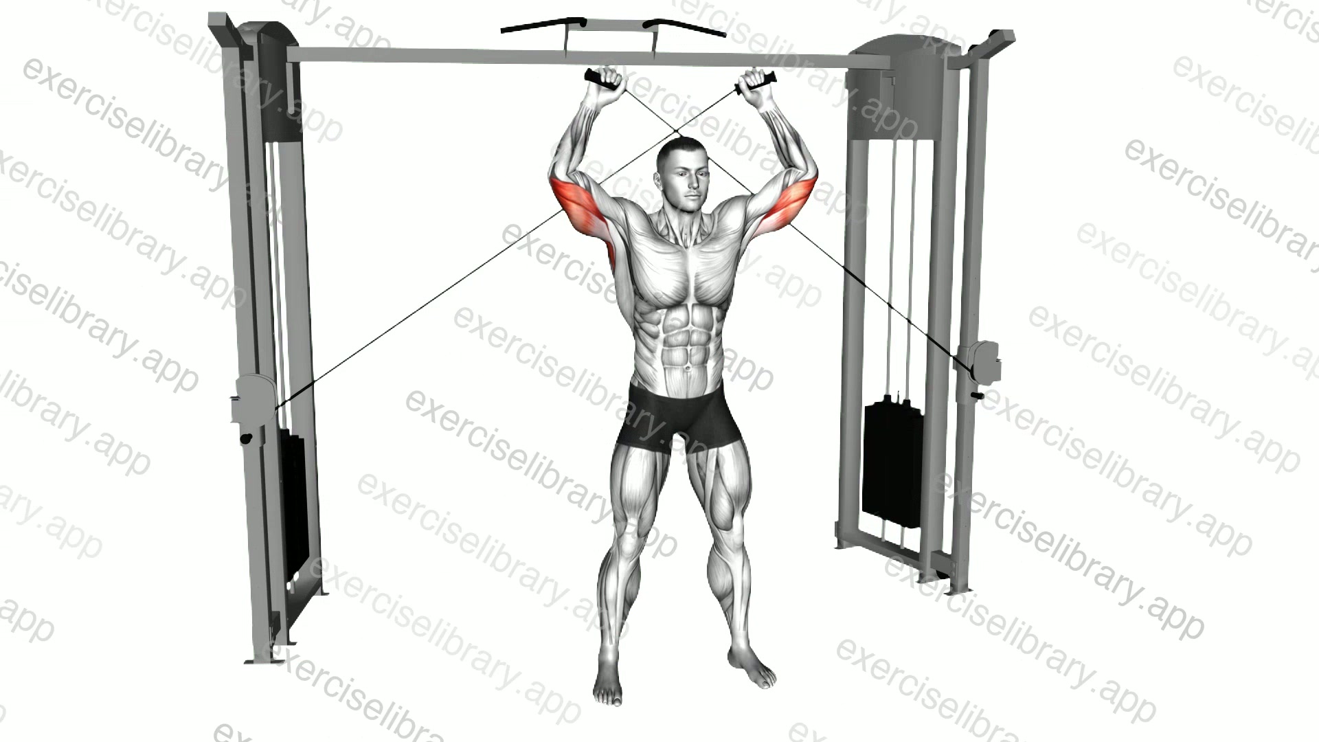 Cable High Triceps Extension demonstration