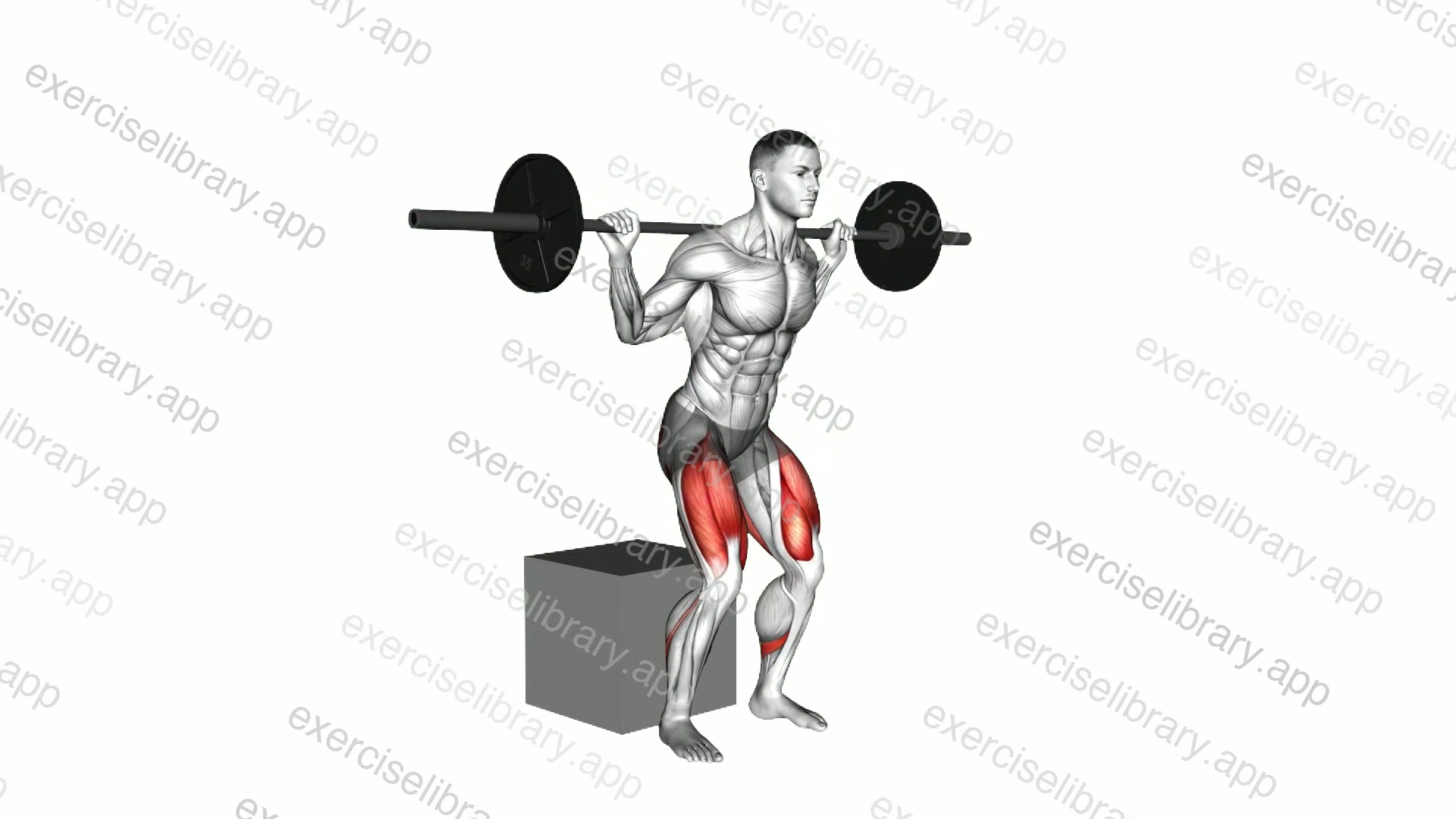 Barbell Box Squat demonstration