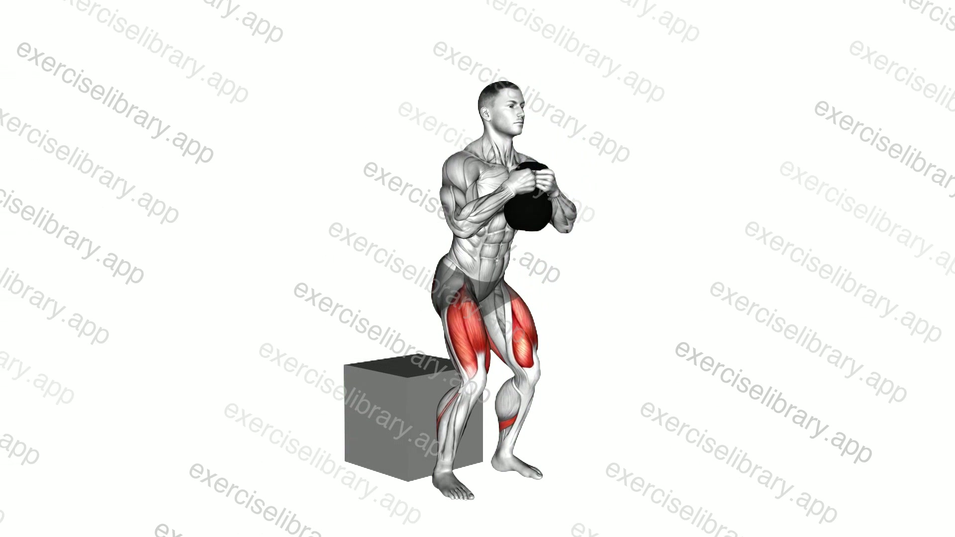 Kettlebell Box Squat demonstration