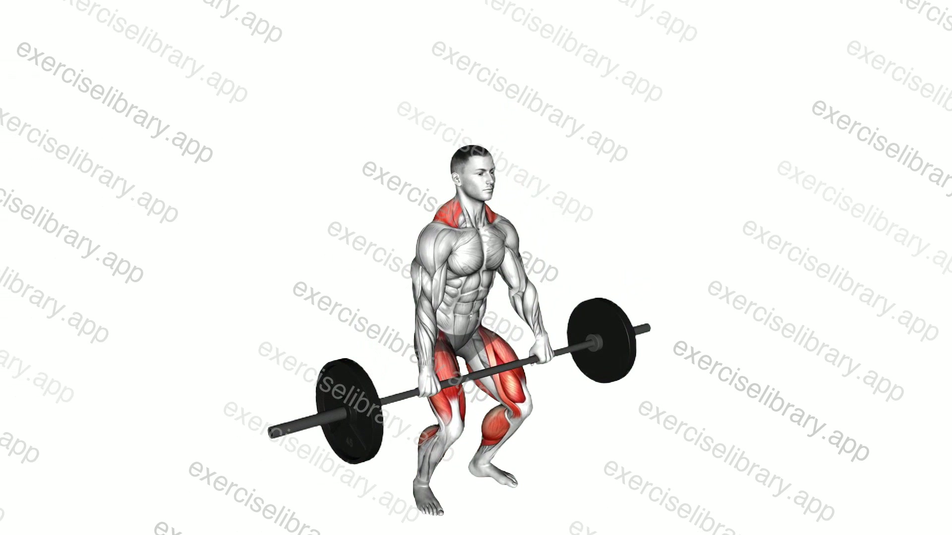 Jump Shrug demonstration