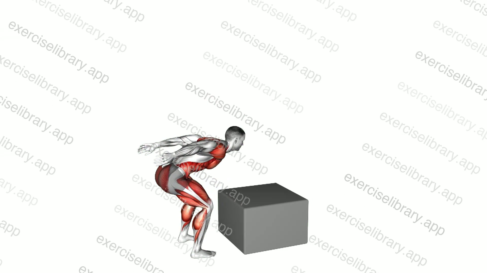 Jump Box demonstration