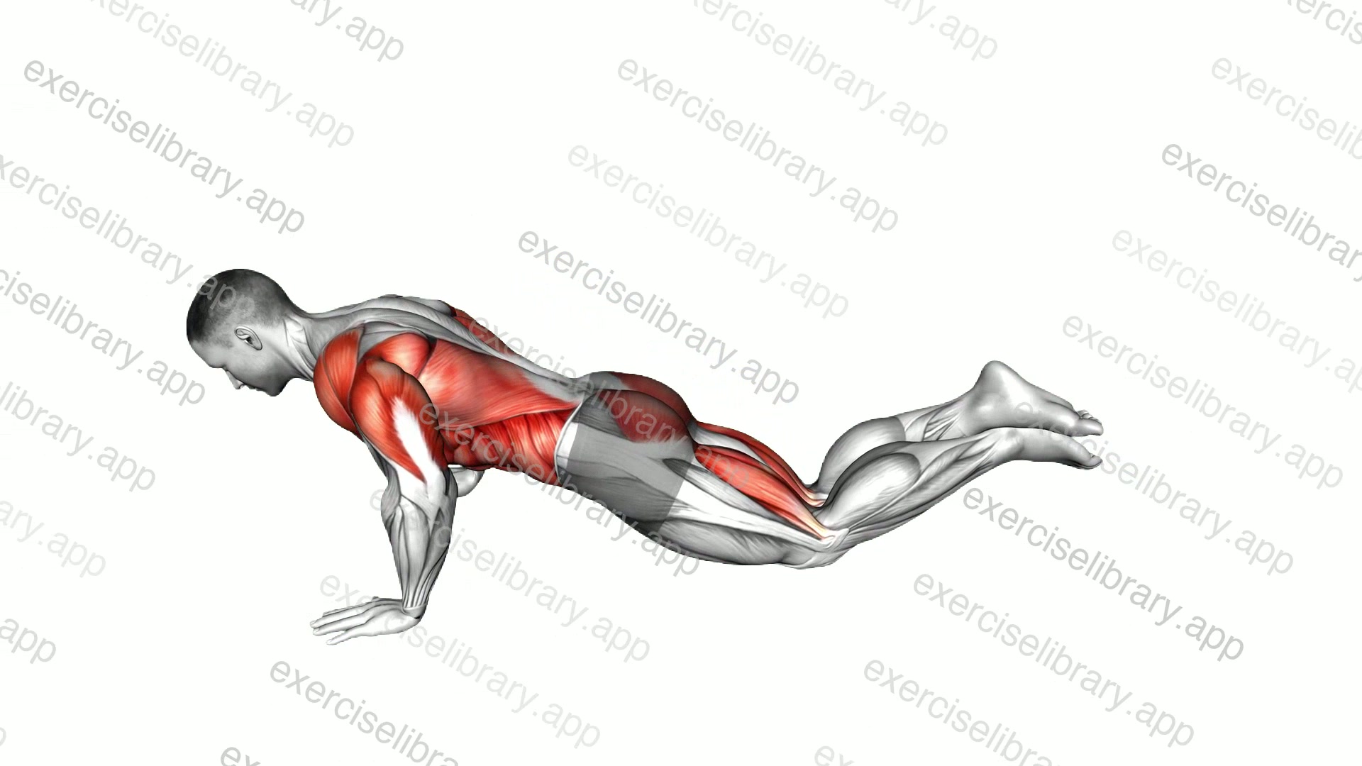 Kneeling Modified Hindu Push-up demonstration