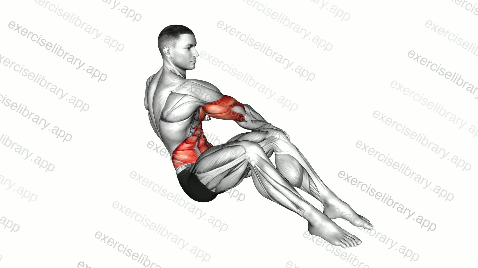V Sit Cross Punch demonstration