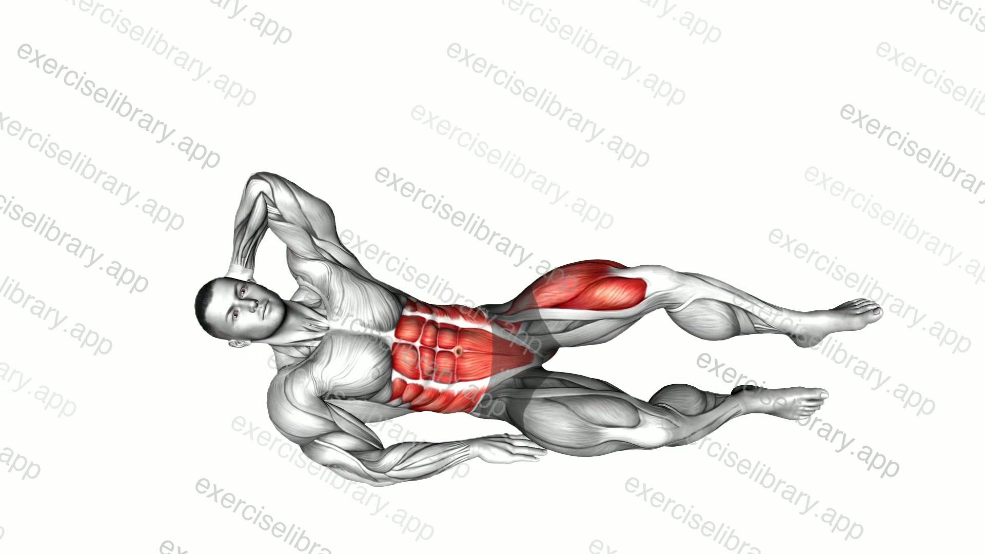 Knee Tuck Oblique Crunch demonstration