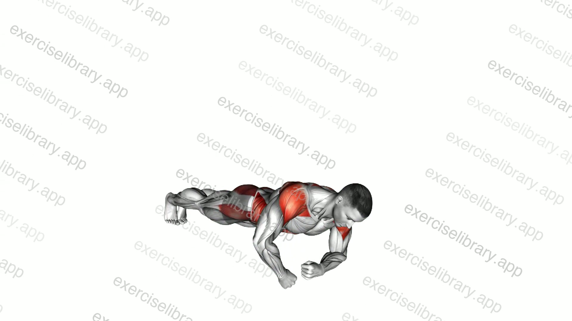 Side Plank Rotation demonstration