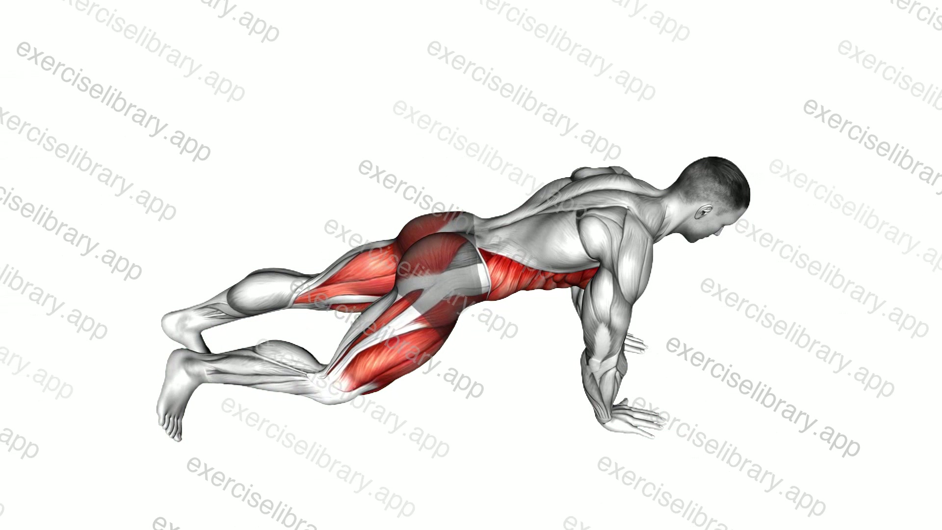 Knee To Elbow Touch Front Plank demonstration