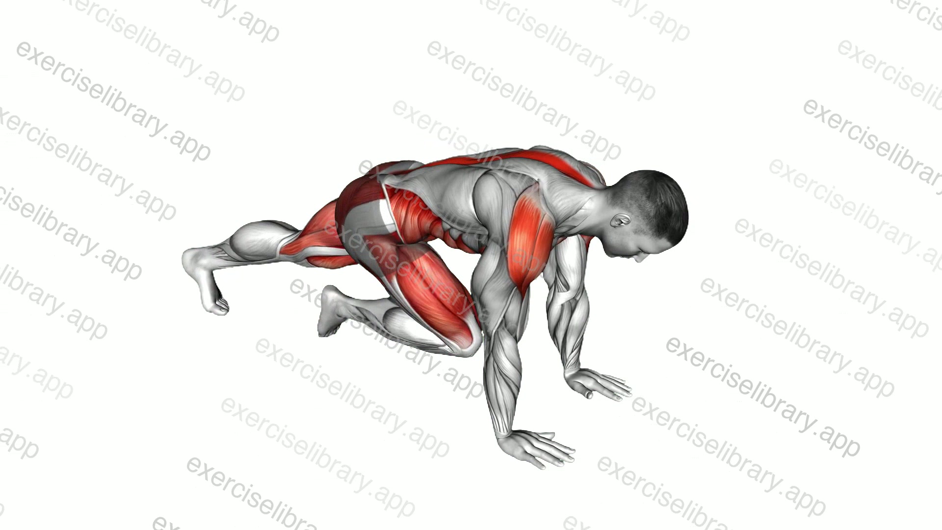 Mountain Climber Cross demonstration