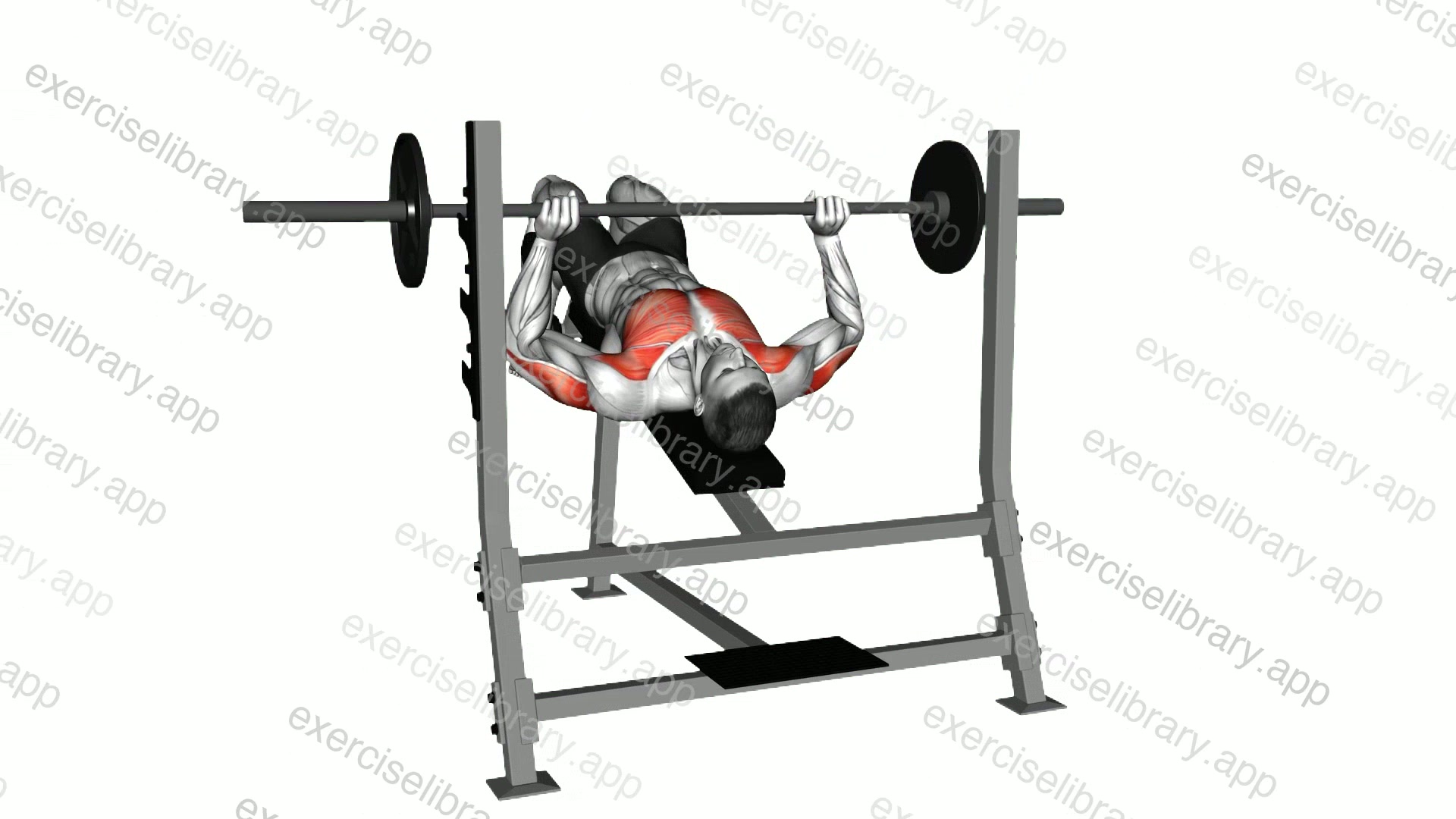 Barbell Pause Decline Bench Press demonstration