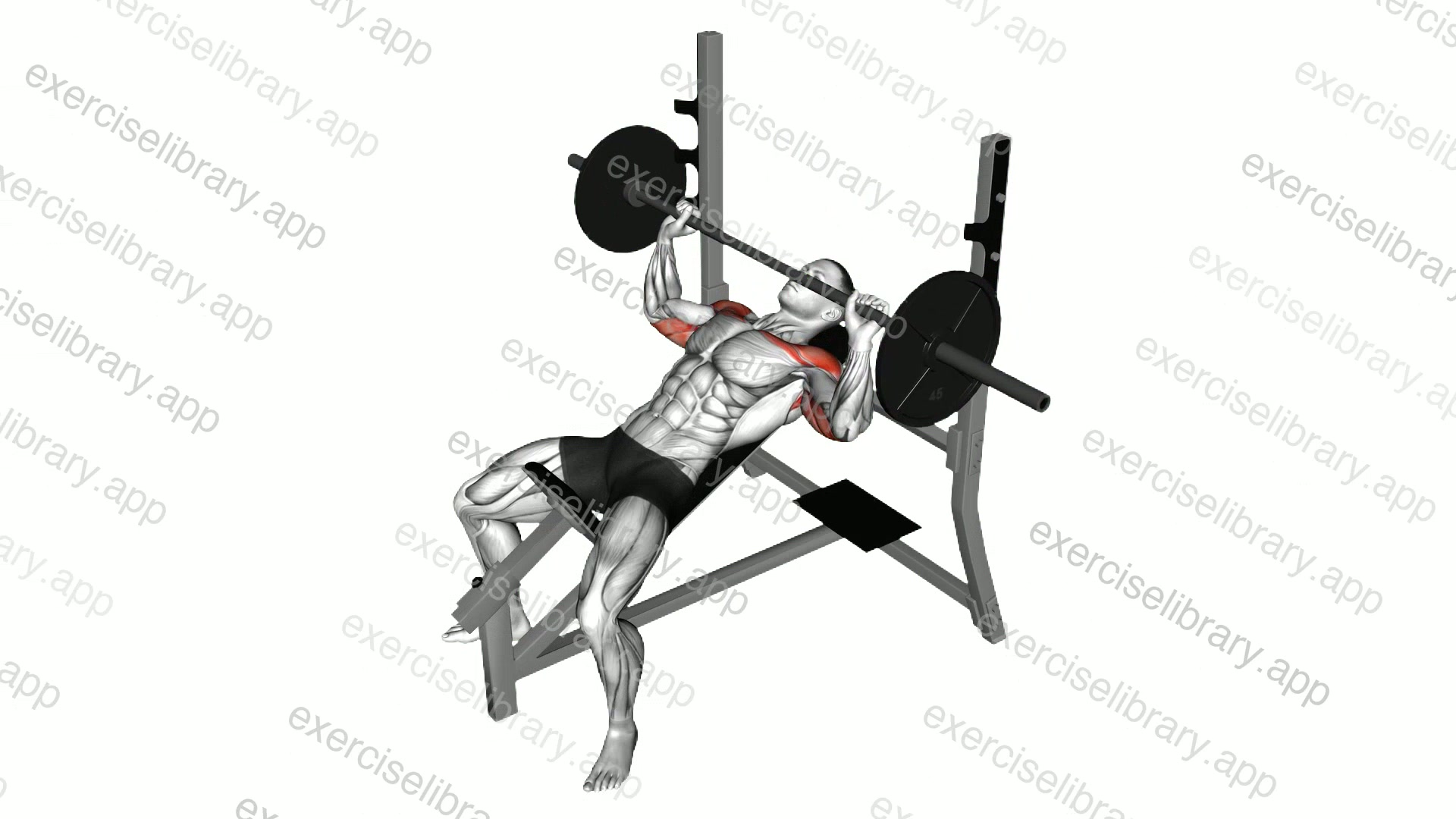Barbell Pause Incline Bench Press demonstration