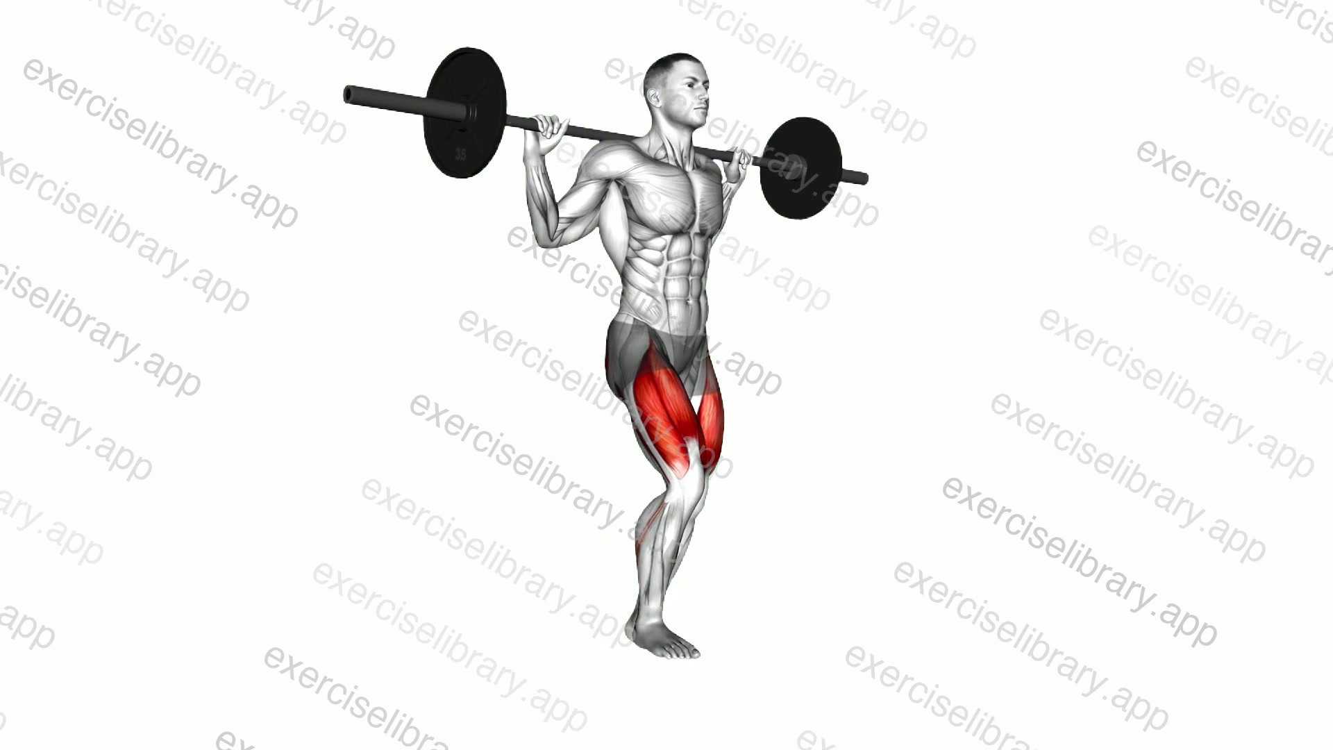 Barbell Pause Lunge demonstration
