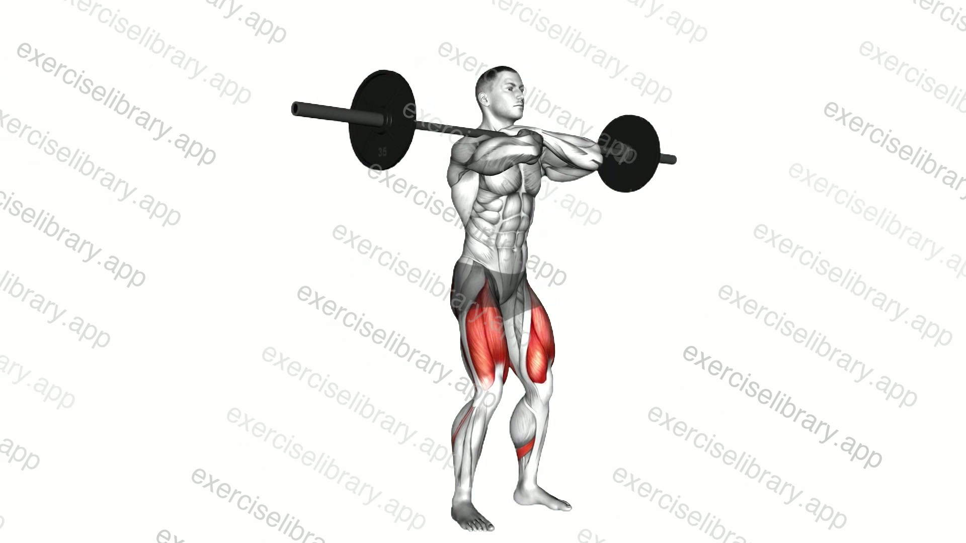 Barbell Pause Front Squat demonstration