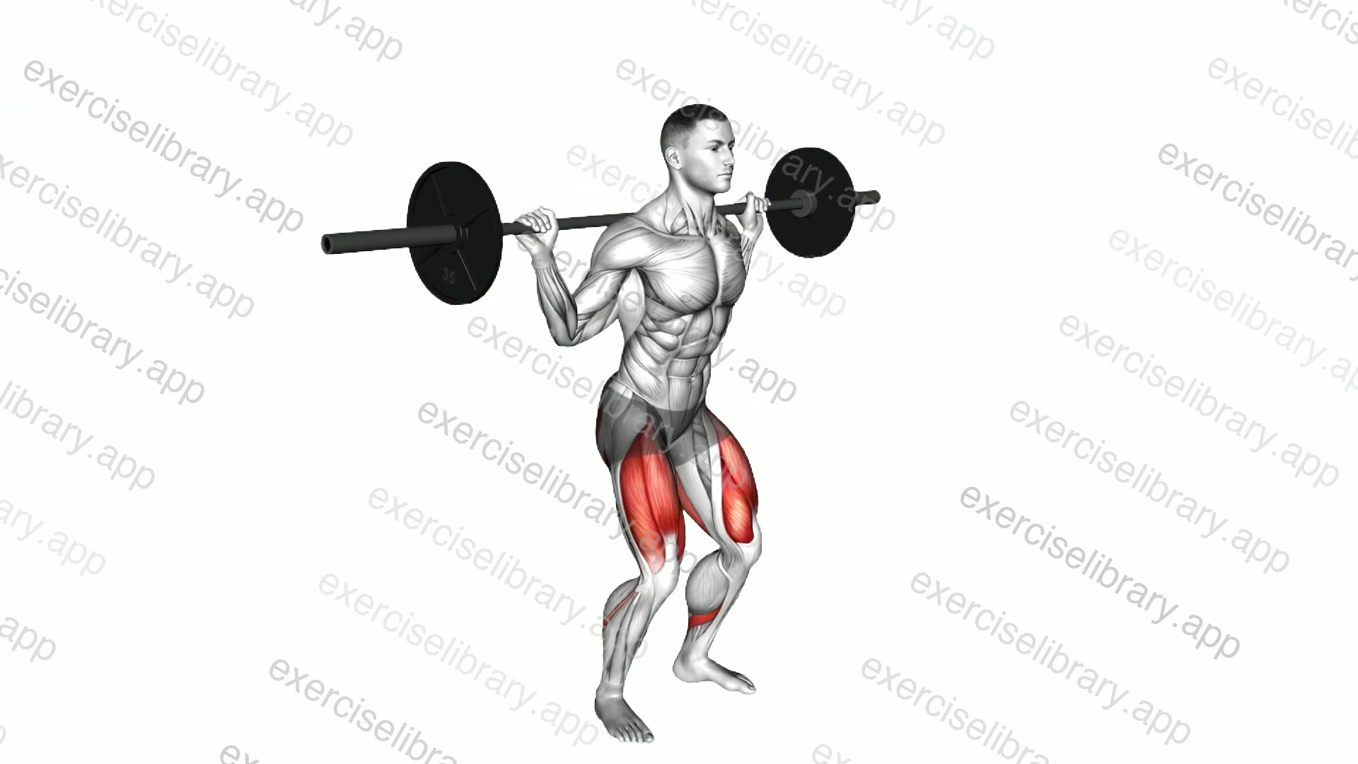 Barbell Pause Full Squat demonstration