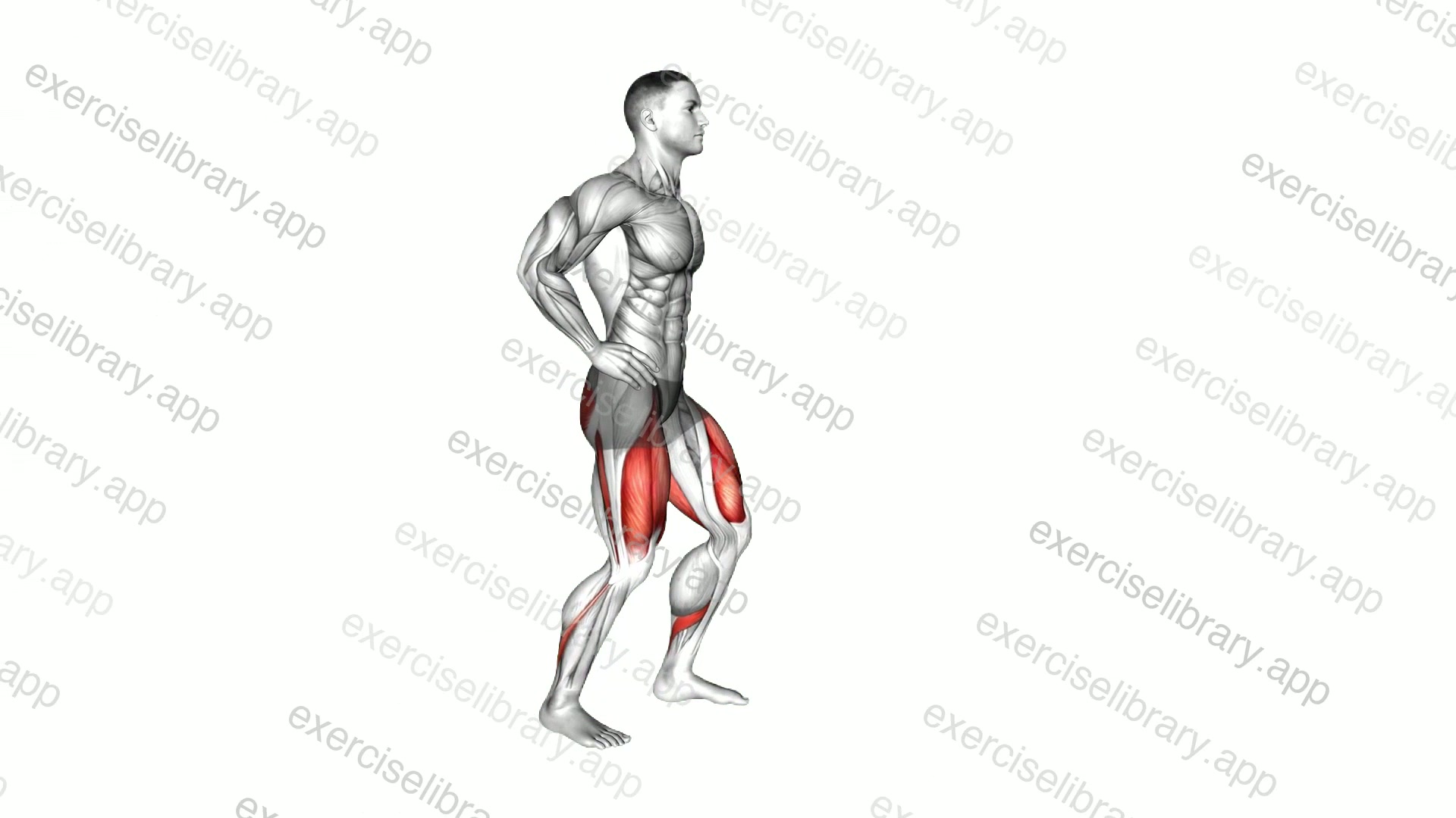 Bodyweight Pulse Forward Lunge demonstration