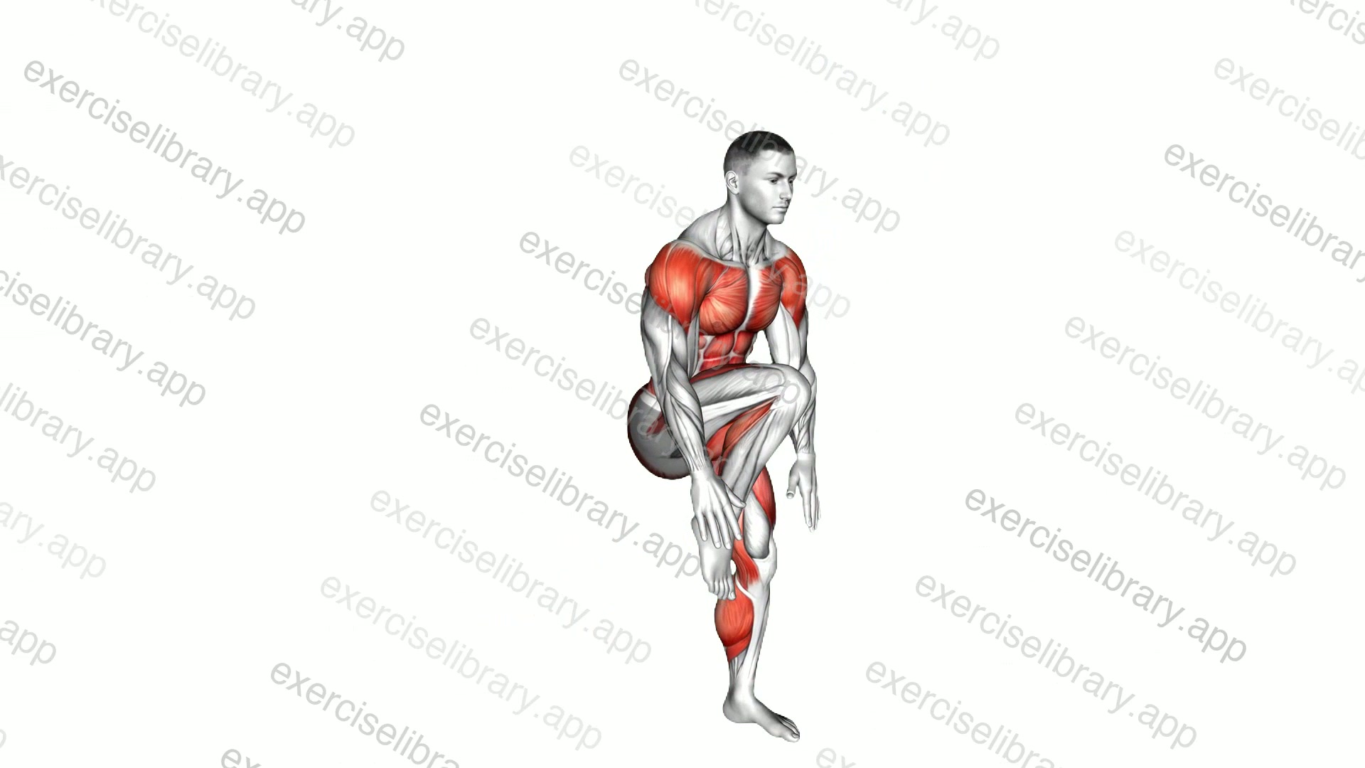 Knee Thrust demonstration
