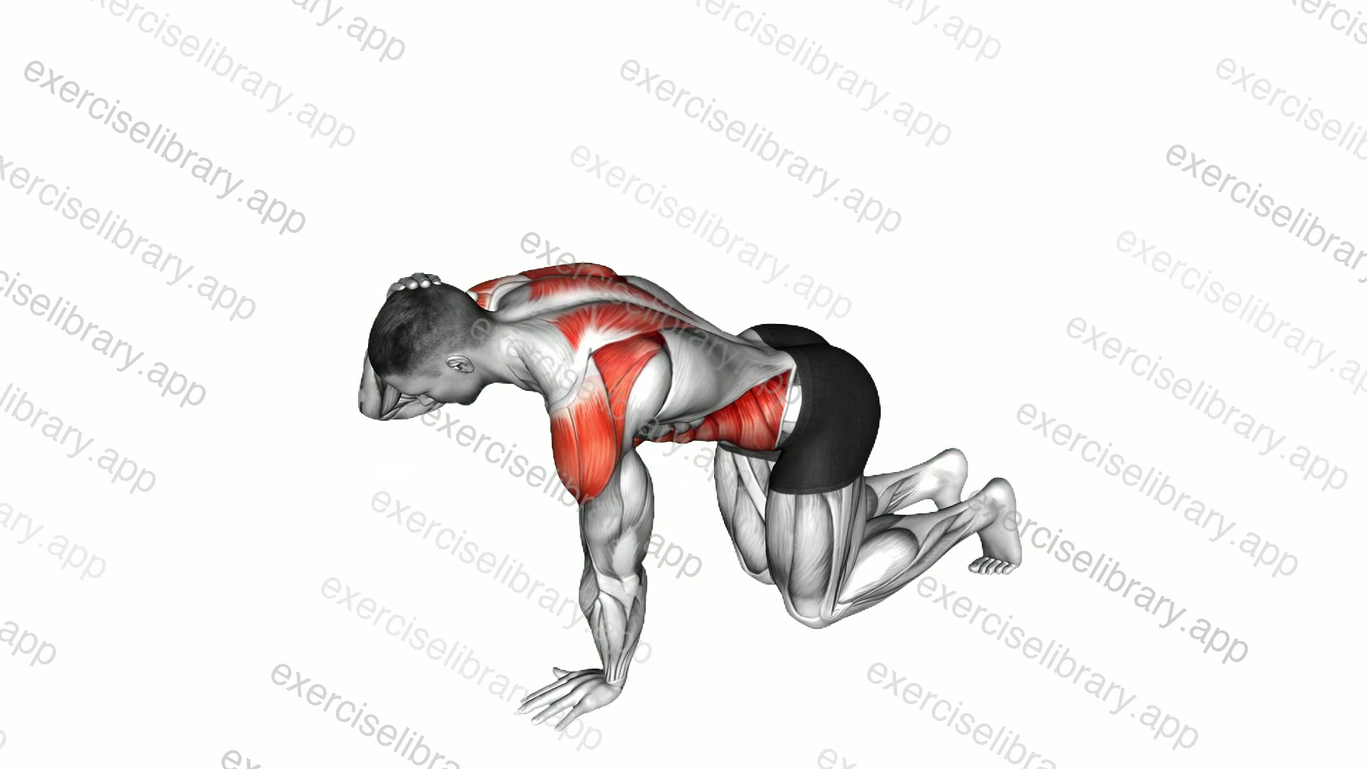 Kneeling Back Rotation demonstration