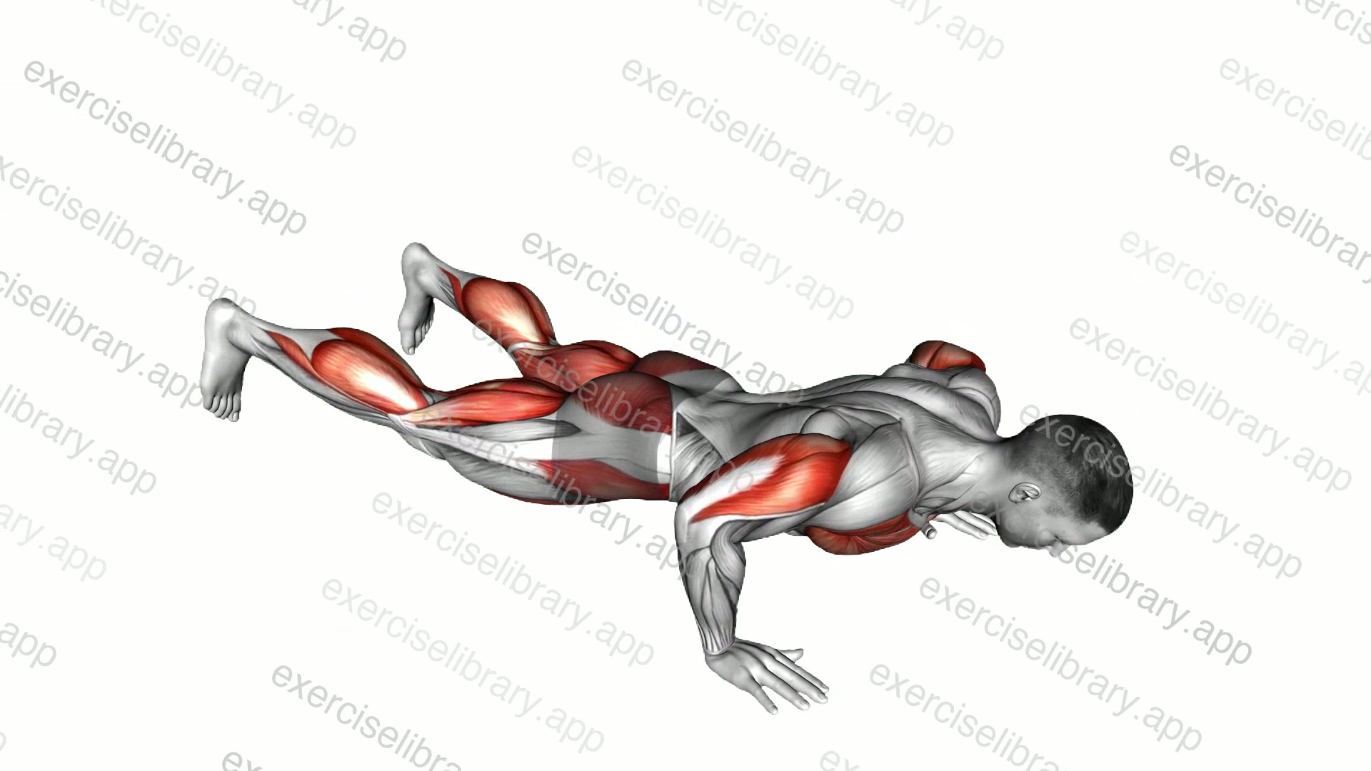 Push-Up Jack demonstration